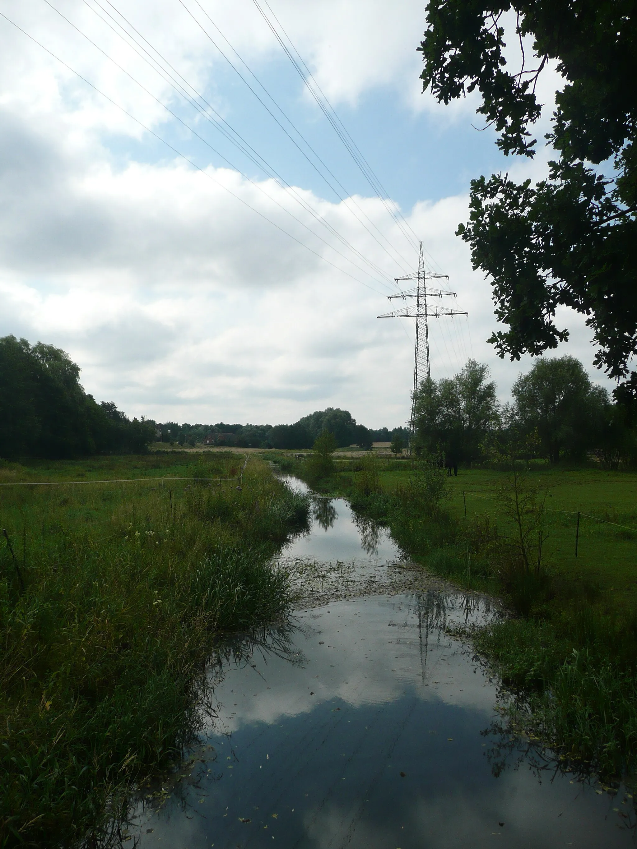 Photo showing: Hasenburger Mühlenbach von der Straße Im Dorf in Lüneburg-Oedeme; Blick ins Naturschutzgebiet „Hasenburger Bachtal“