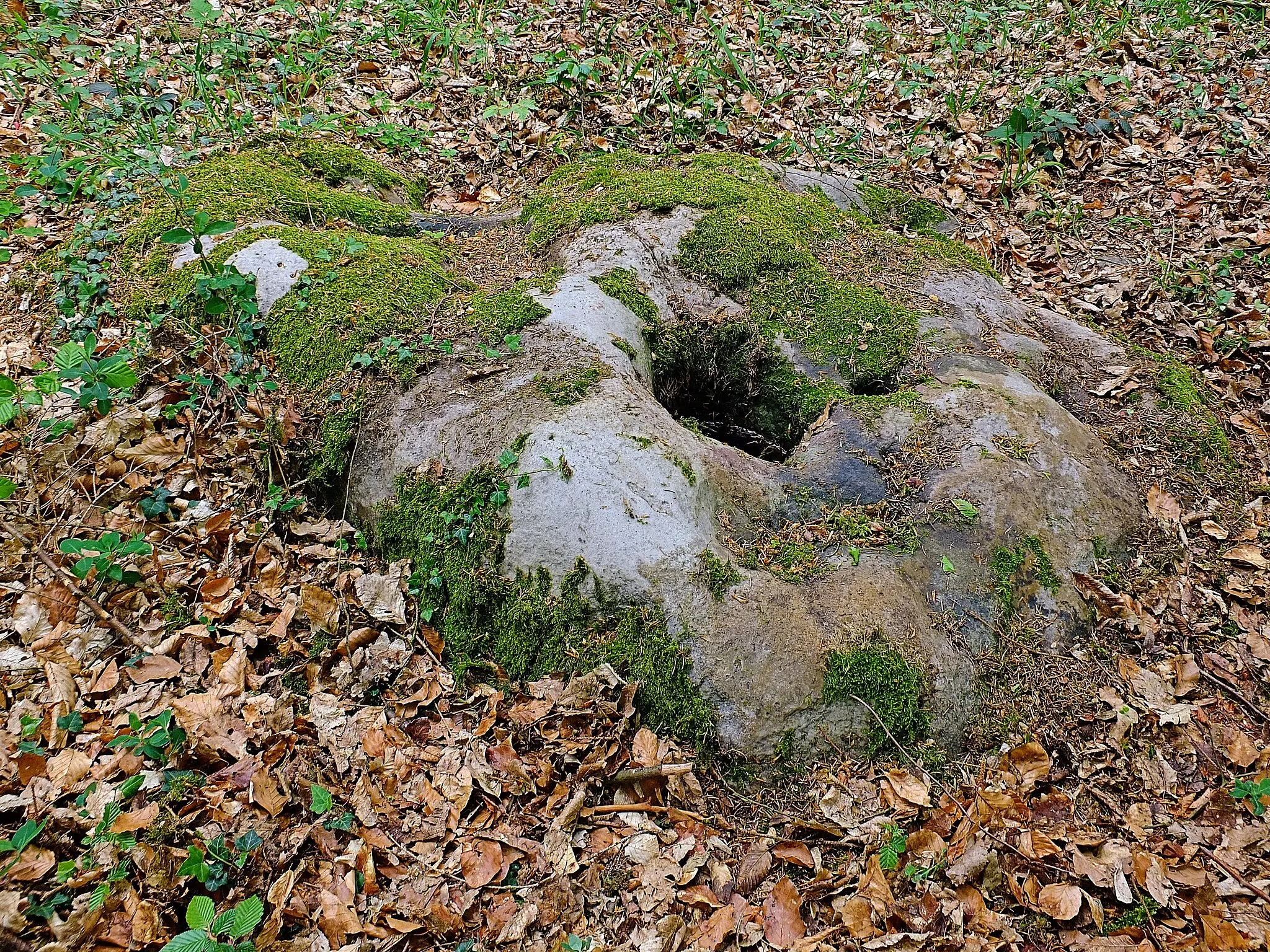 Photo showing: Naturdenkmal "ND WL 00010" im Landkreis Harburg (Niedersachsen): Wanderblock, am Botenberg, Schätzendorf (Egestorf); gelegen im Landschaftsschutzgebiet Garlstorfer Wald und weitere Umgebung
Koordinaten des Wanderblocks / des Naturdenkmals: Breitengrad: 53.208343 / Längengrad: 10.053053