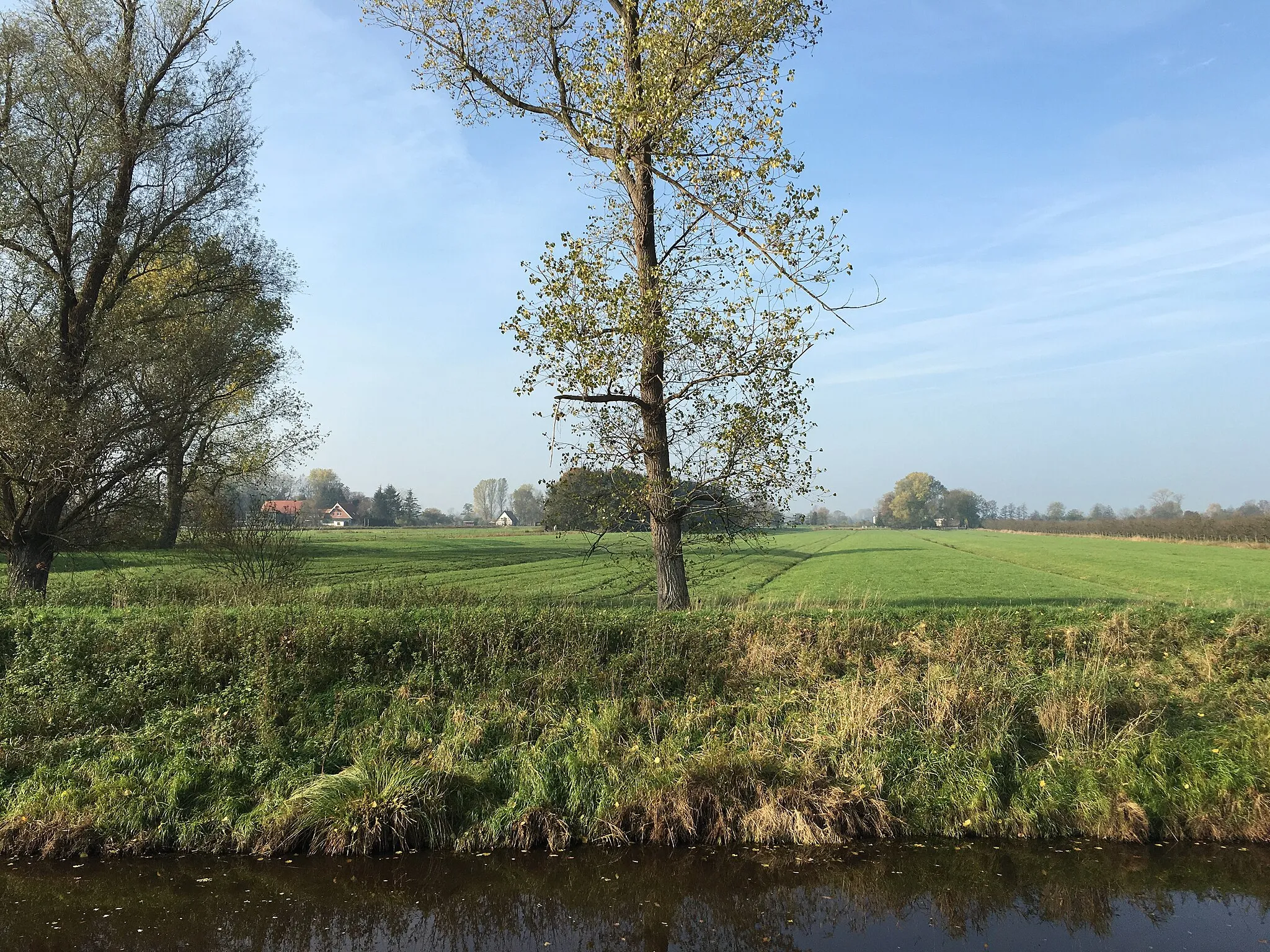 Photo showing: de Borgbeekkanaal twüschen Bredenwisch un Engelschopp un Blick op Bredenwisch