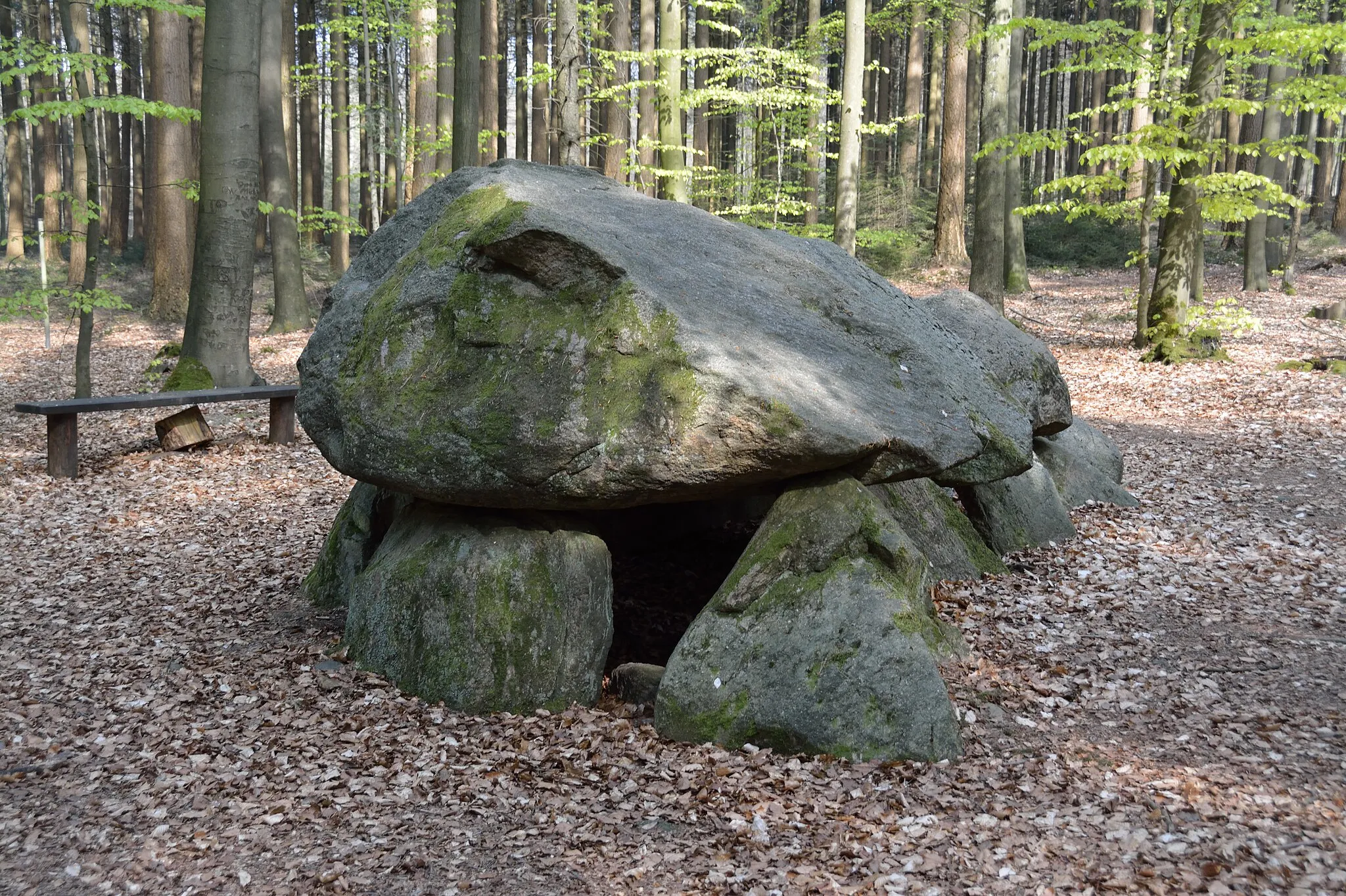 Photo showing: Im Naturschutzgebiet „Westerberg und oberes Hackemühlener Bachtal“ in Niedersachsen liegt das Grosssteingrab „Steinofen“