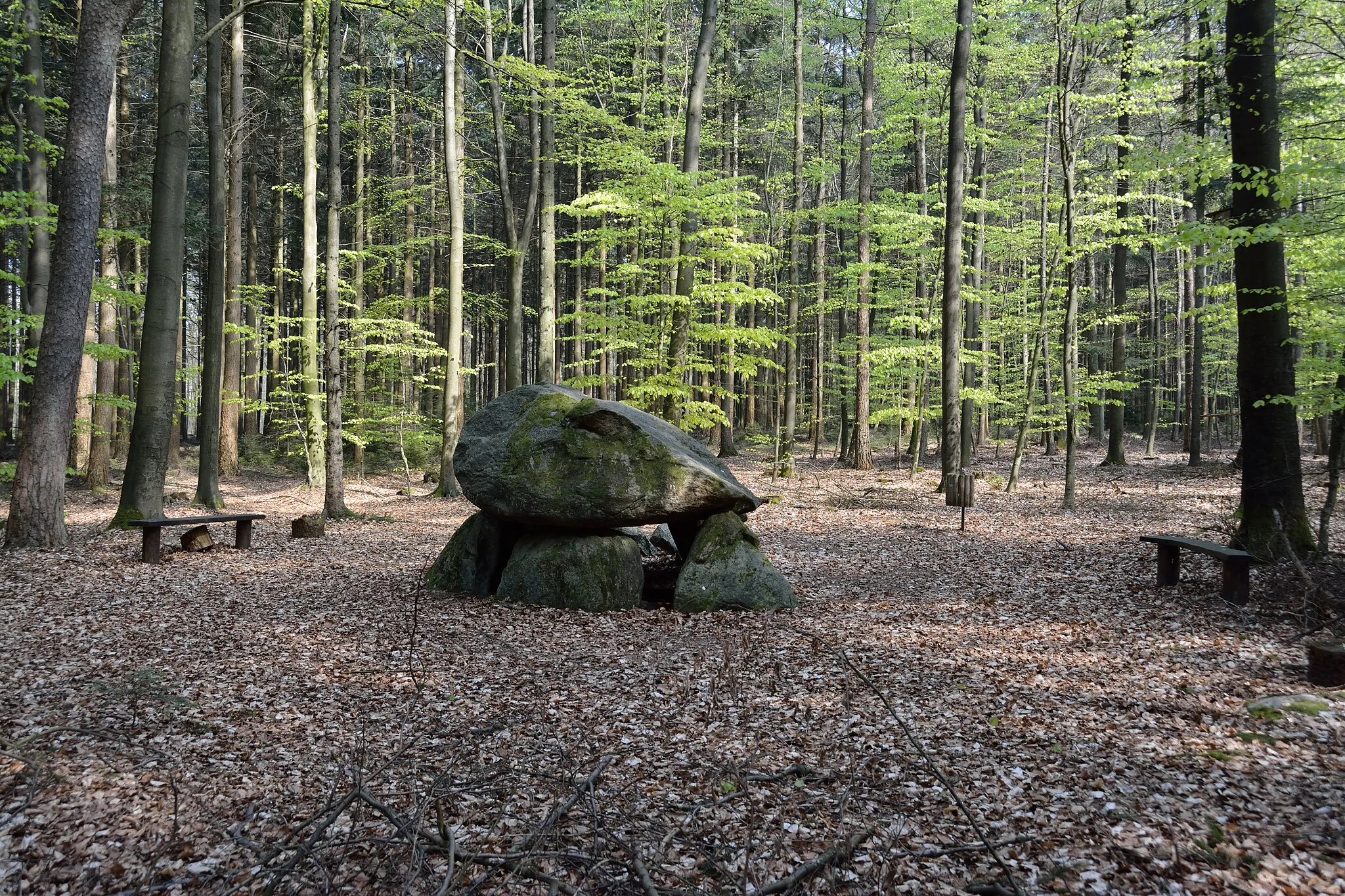 Photo showing: Im Naturschutzgebiet „Westerberg und oberes Hackemühlener Bachtal“ in Niedersachsen liegt das Grosssteingrab „Steinofen“