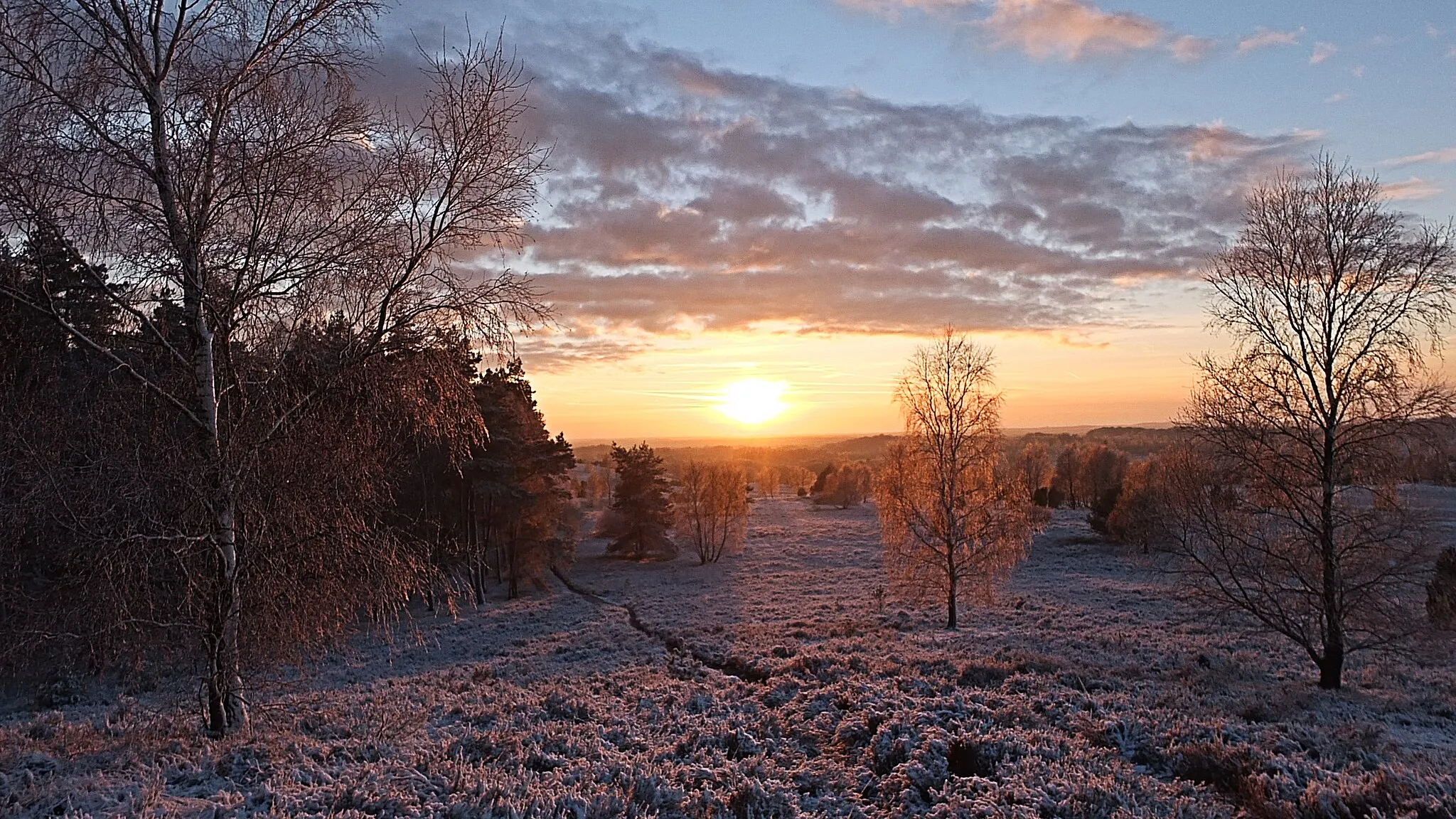 Photo showing: Südwest-Blick vom Gipfel des Bolterberges im Naturschutzgebiet Lüneburger Heide (Niedersachsen, Landkreis Heidekreis) bei Schnee