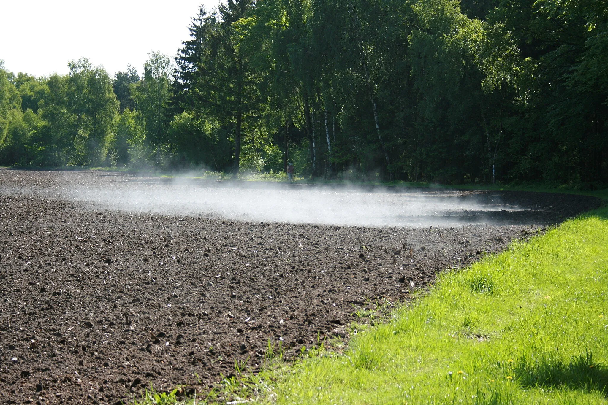 Photo showing: Soltau-Wiedingen: A local fog spot resulting from a small stream of cold air from the forest that meets the humid, warm air above the field.