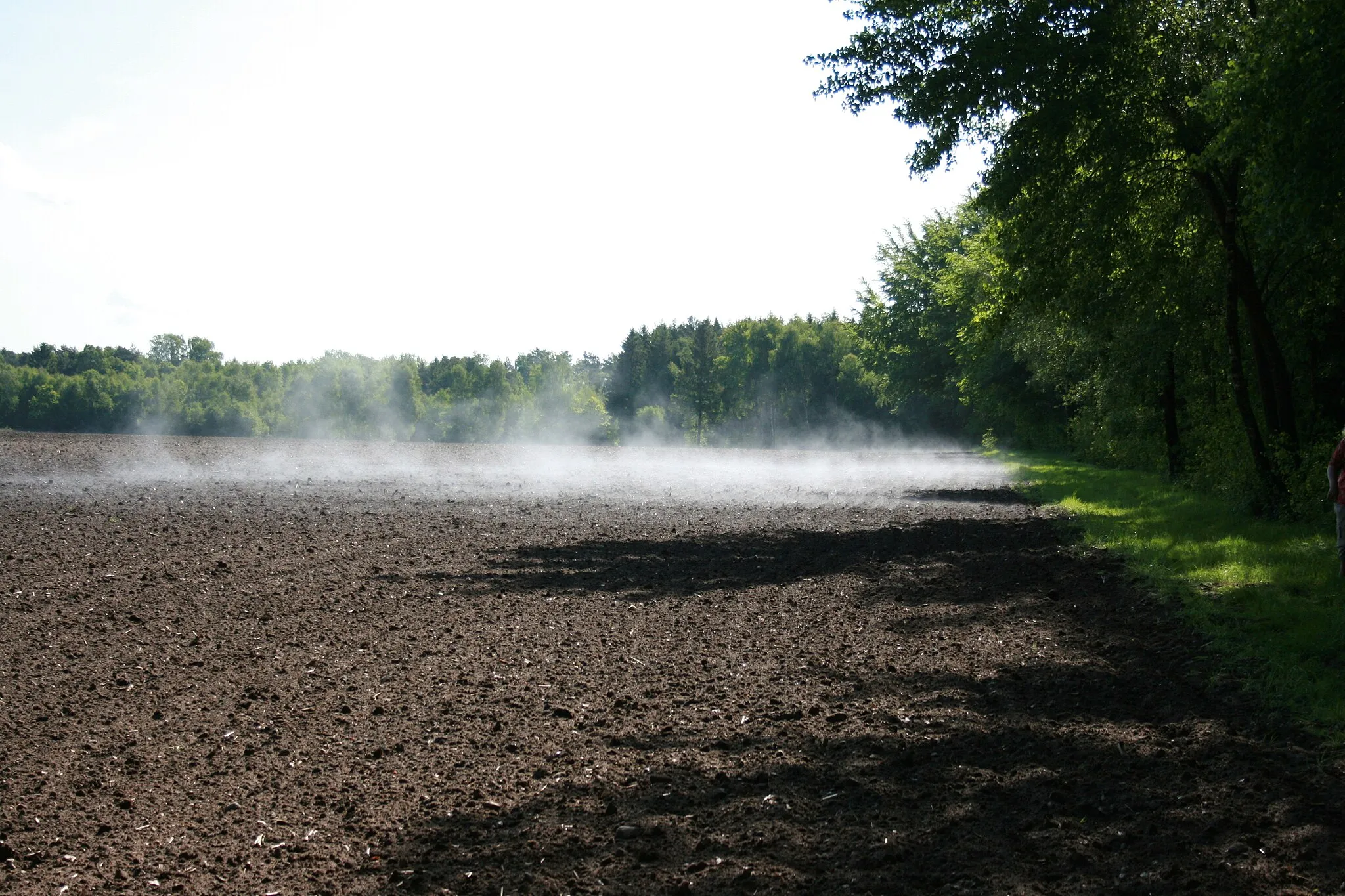 Photo showing: Soltau-Wiedingen: A local fog spot resulting from a small stream of cold air from the forest that meets the humid, warm air above the field.