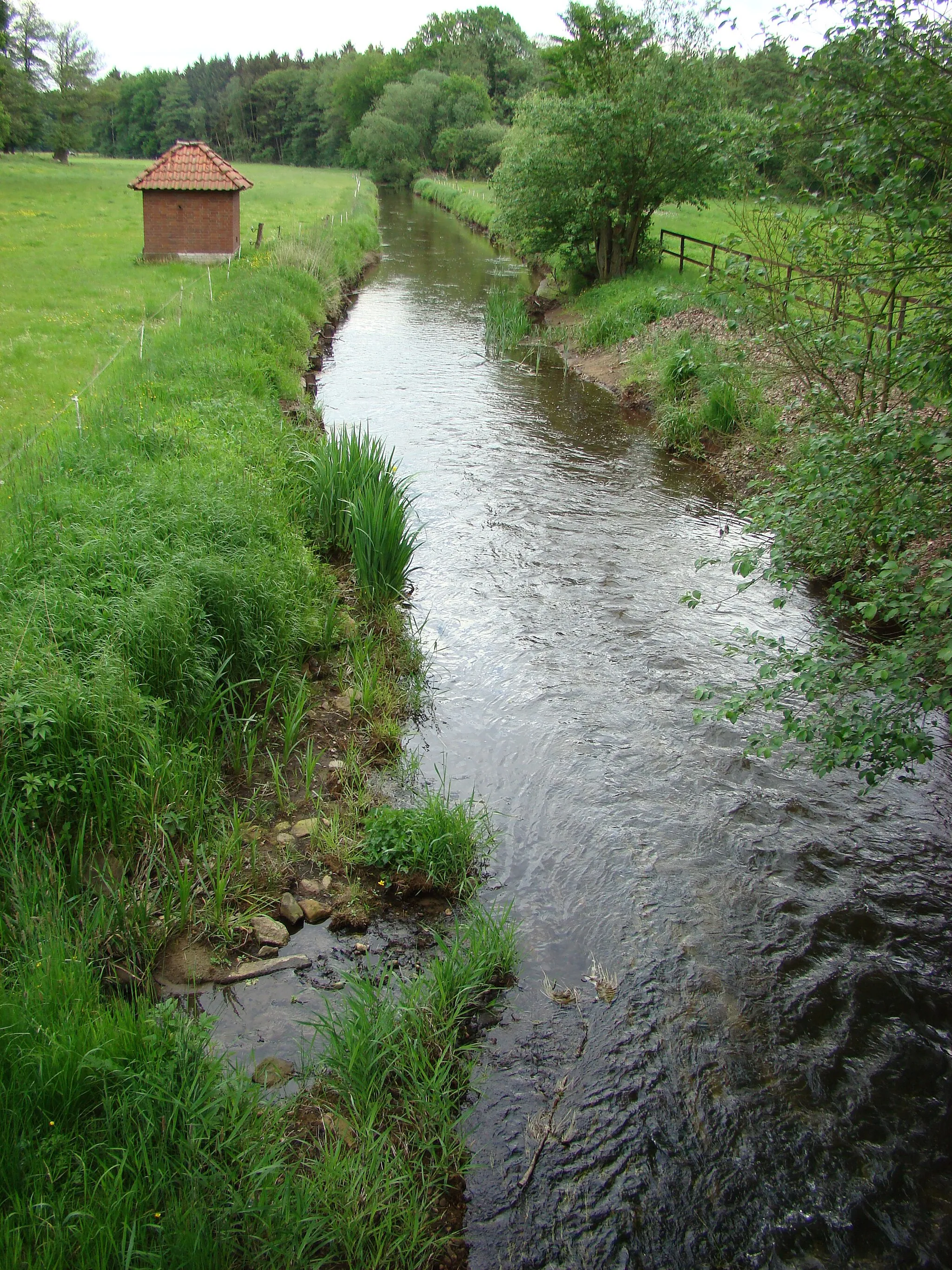 Photo showing: The River Wietze in Reiningen, Lower Saxony, Germany