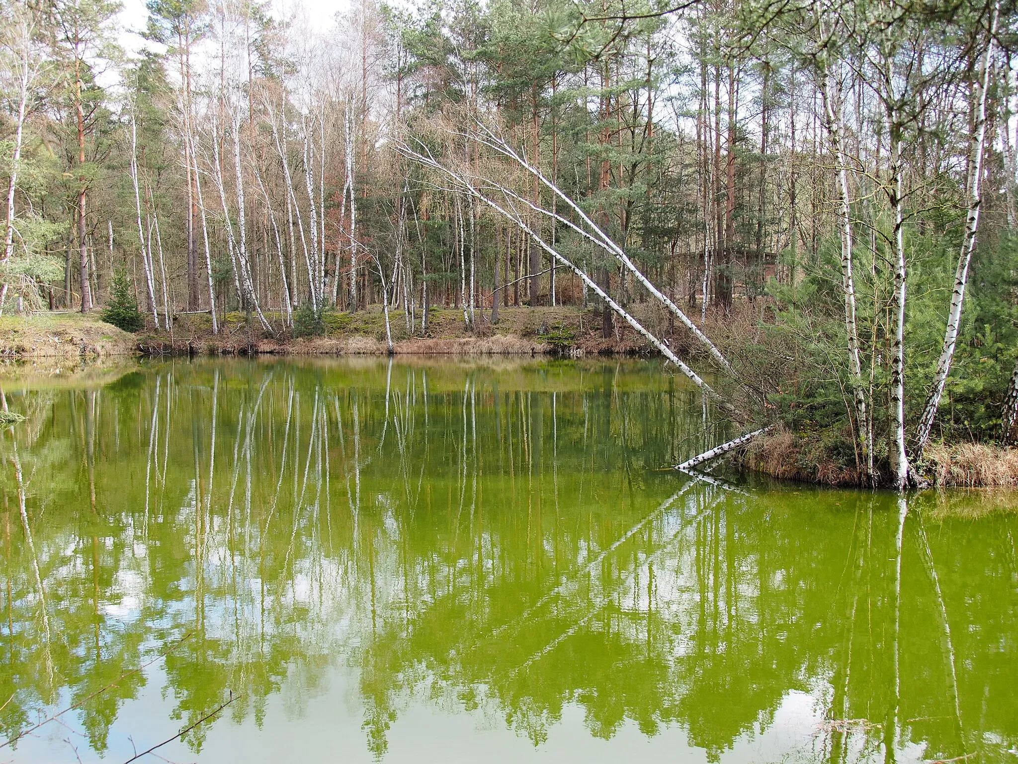 Photo showing: Aufgelassene Kieselgurgrube in Oberohe (2020)