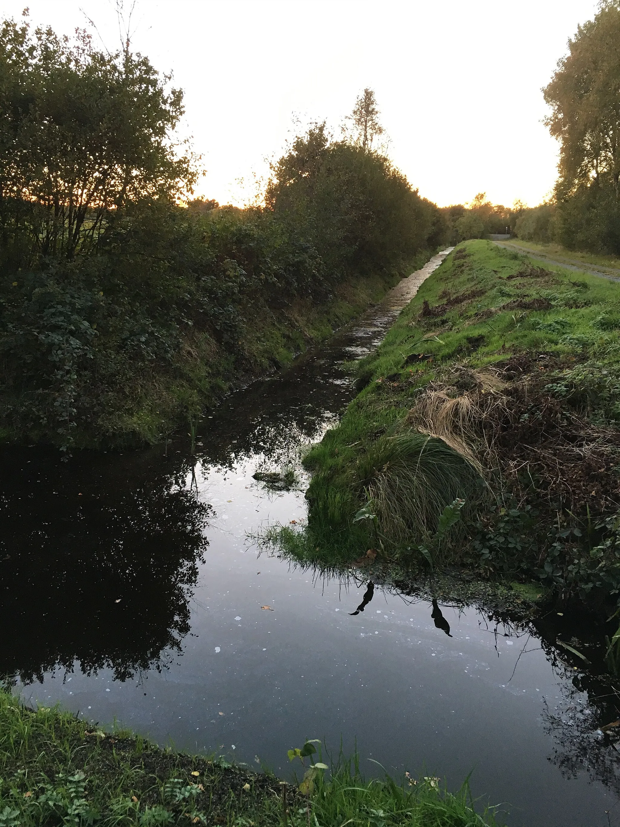 Photo showing: Graven in de Neegd von Ankloh un den Beerser See