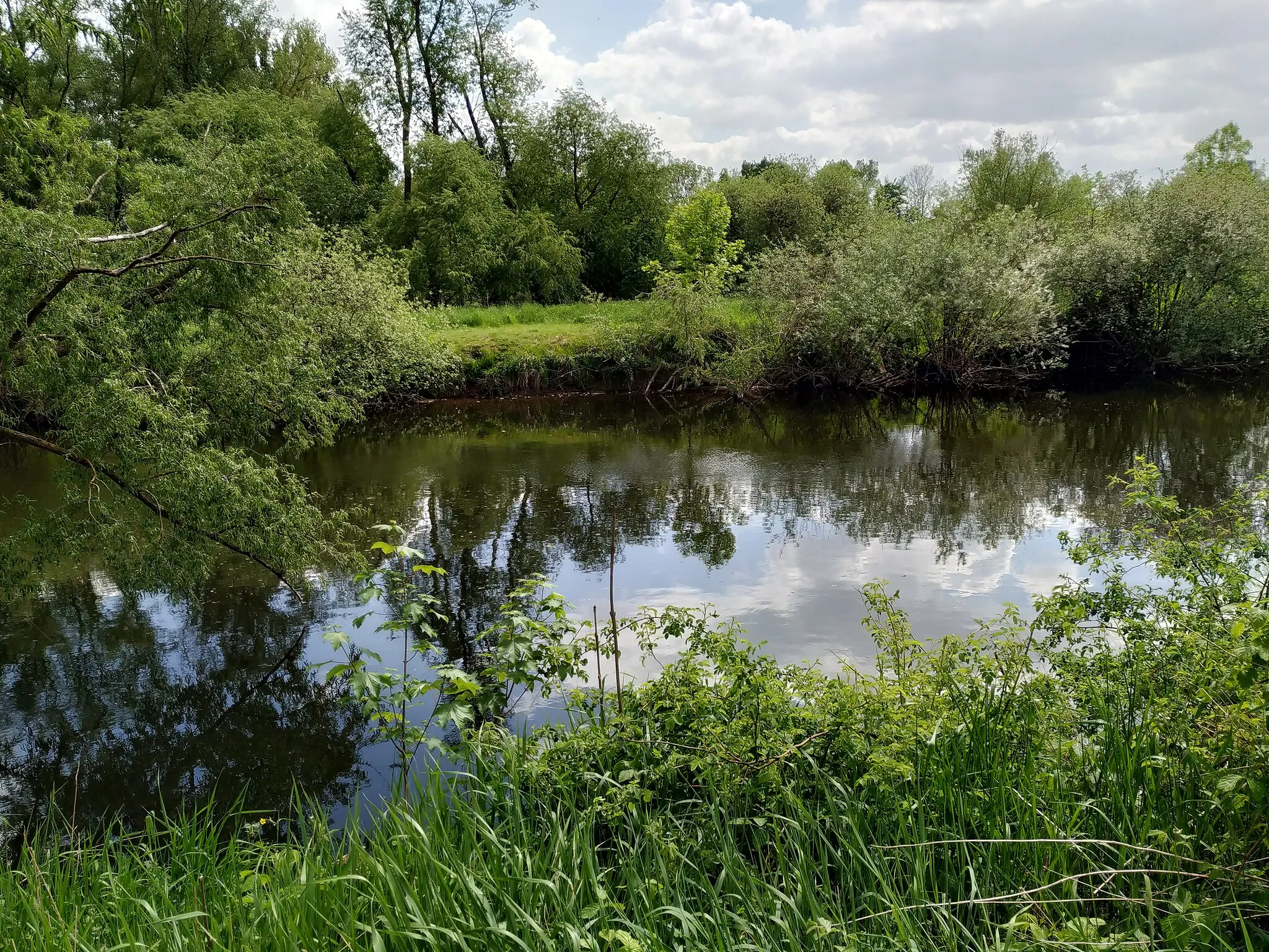 Photo showing: Die Leine in der Niedersächsischen Stadt Laatzen an der Grenze zum Ortsteil Wülfel der Stadt Hannover.