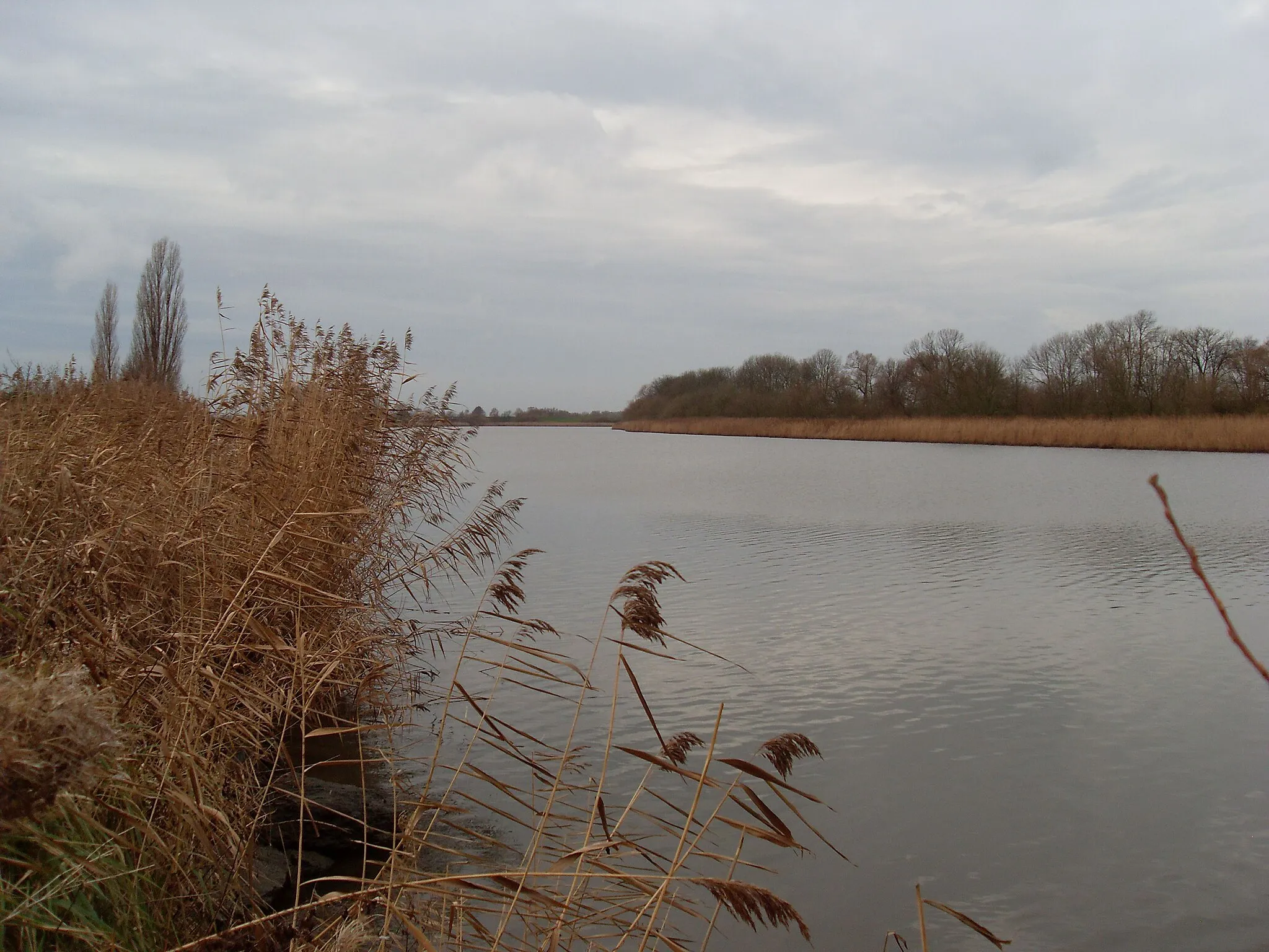 Photo showing: Nature Reserve Borsteler Binnenelbe near Buxtehude, Lower Saxony, Germany