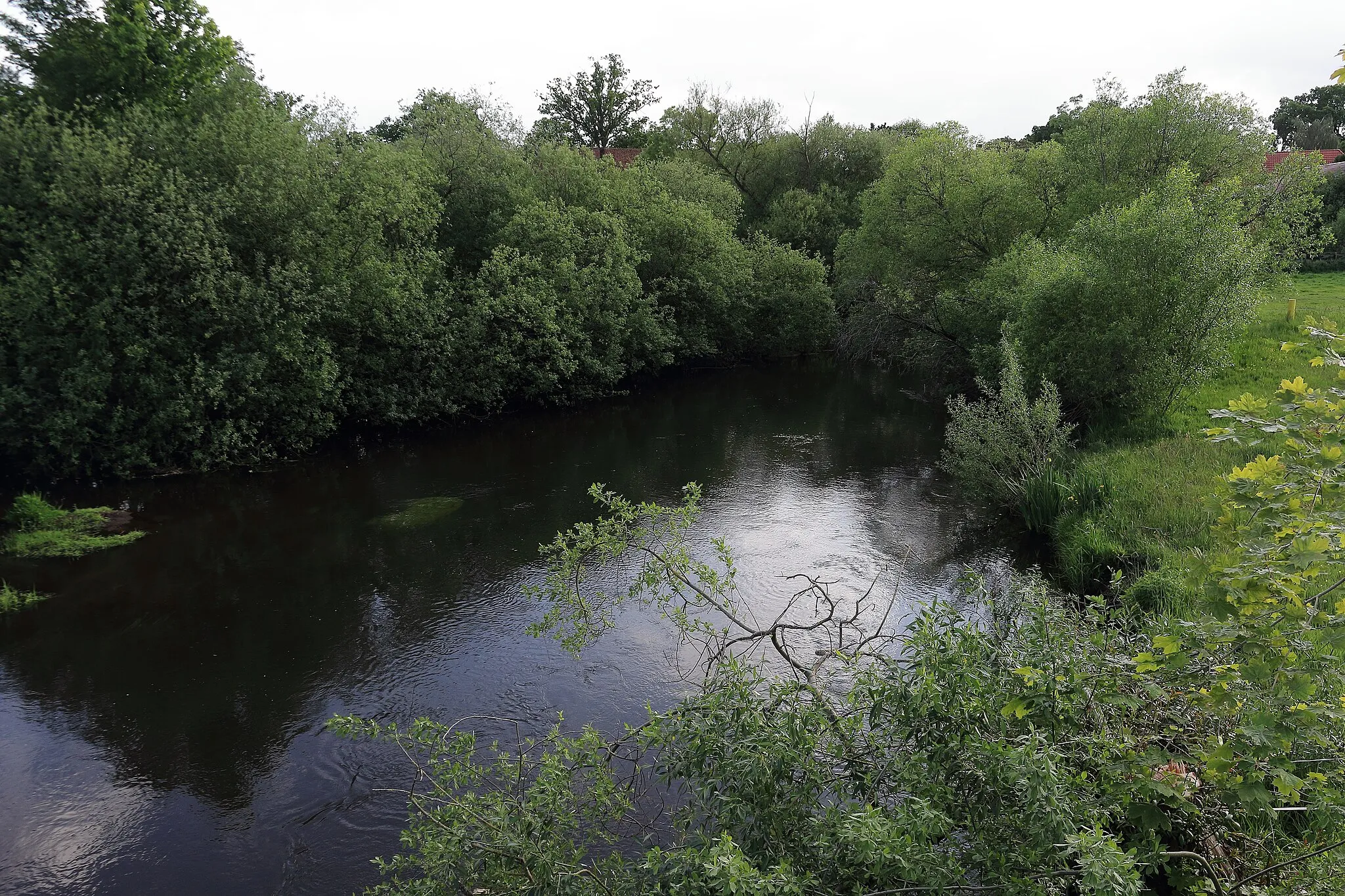 Photo showing: Die Örtze südlich von Wolthausen, von der Brücke B3 Flussabwärts