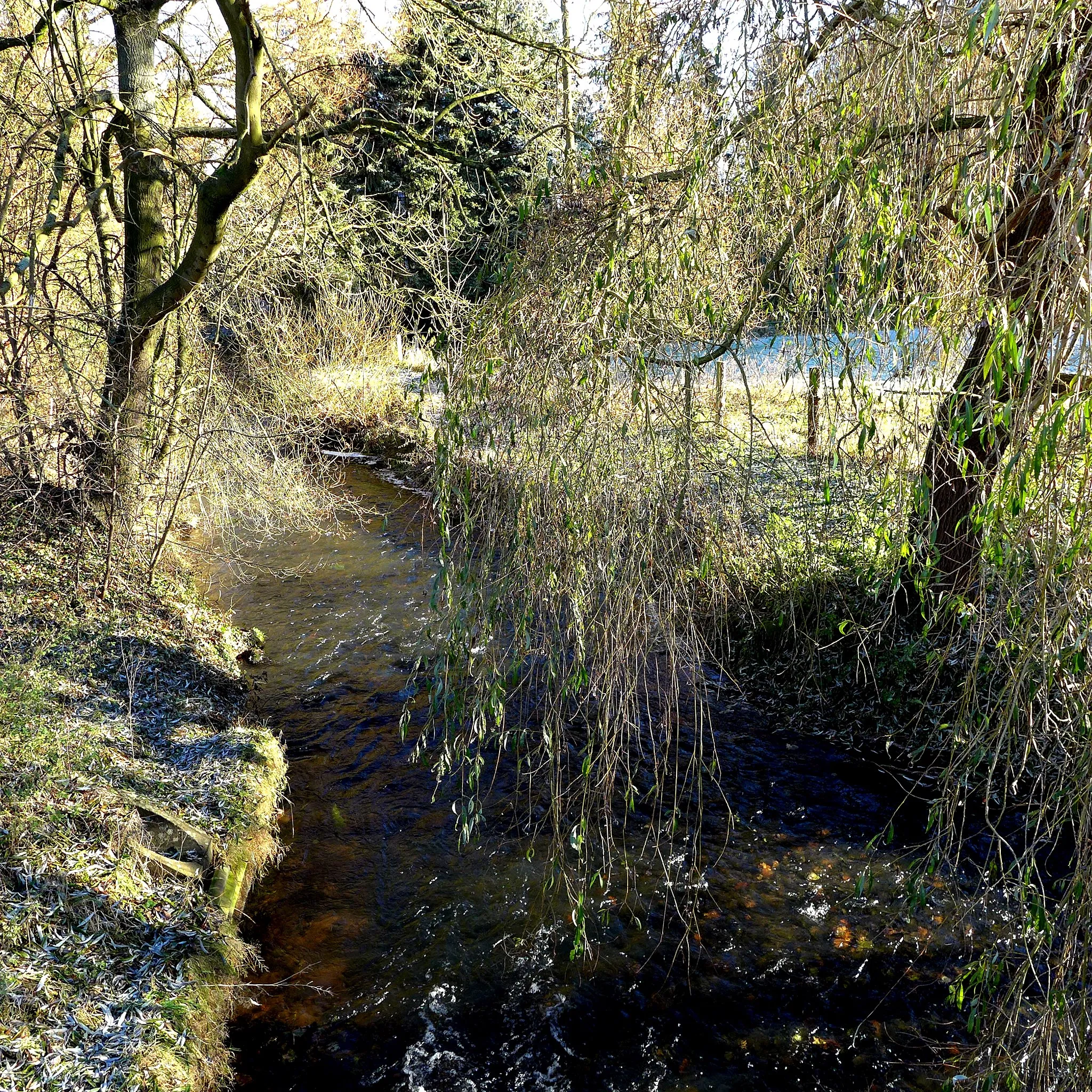 Photo showing: Der Heidefluss Hardau durchfließt Holdenstedt (Uelzen) in Richtung des Flusses Gerdau. Aufnahmedatum 2016-11.