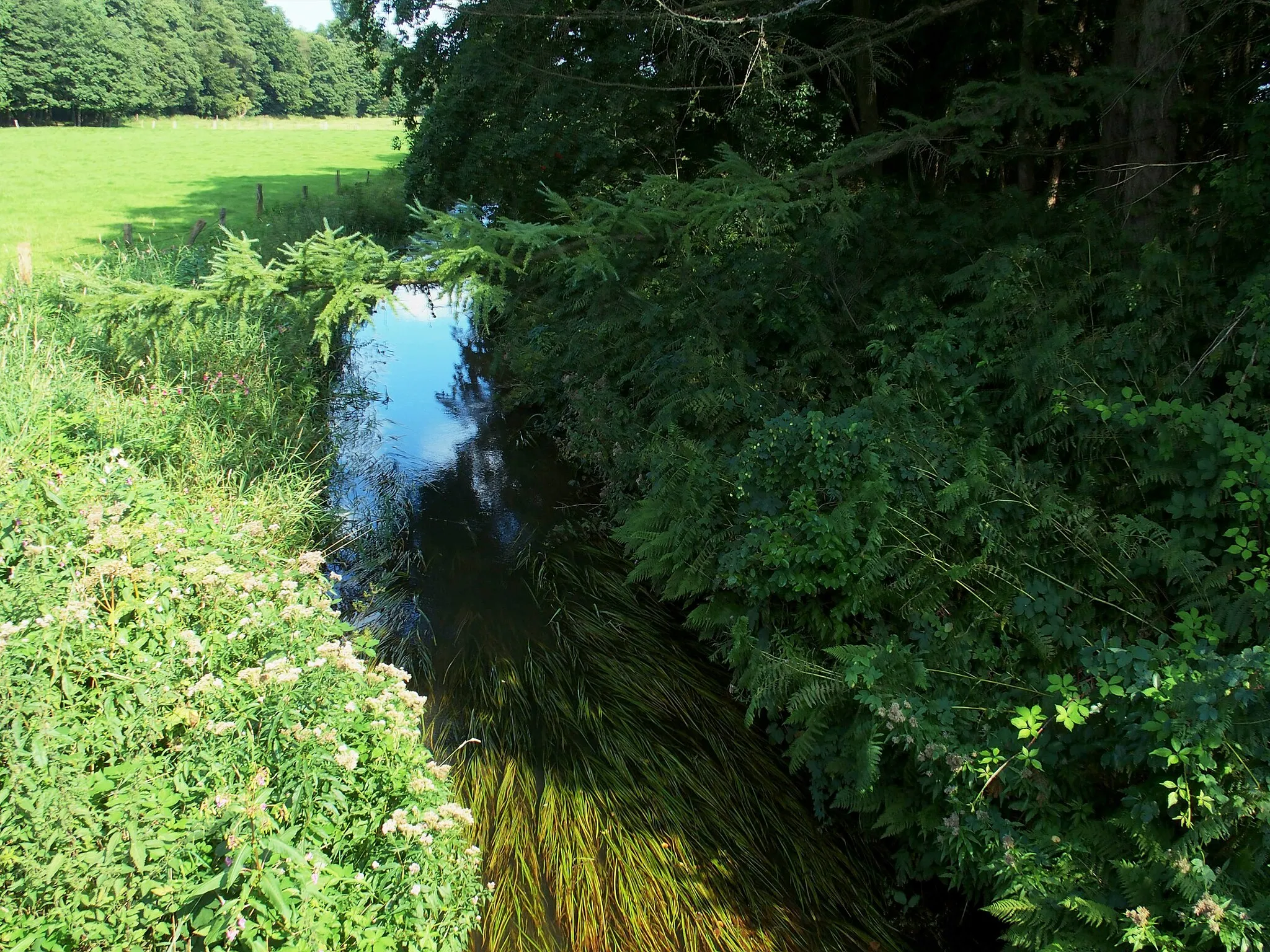 Photo showing: Gohbach in Specken, Kirchlinteln municipality, overgrown at this time of the year