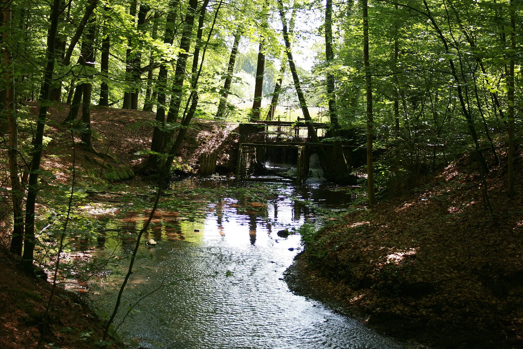 Photo showing: Mühlenteich des Hahnenbachs, Brochdorf, Neuenkirchen (Lüneburger Heide)