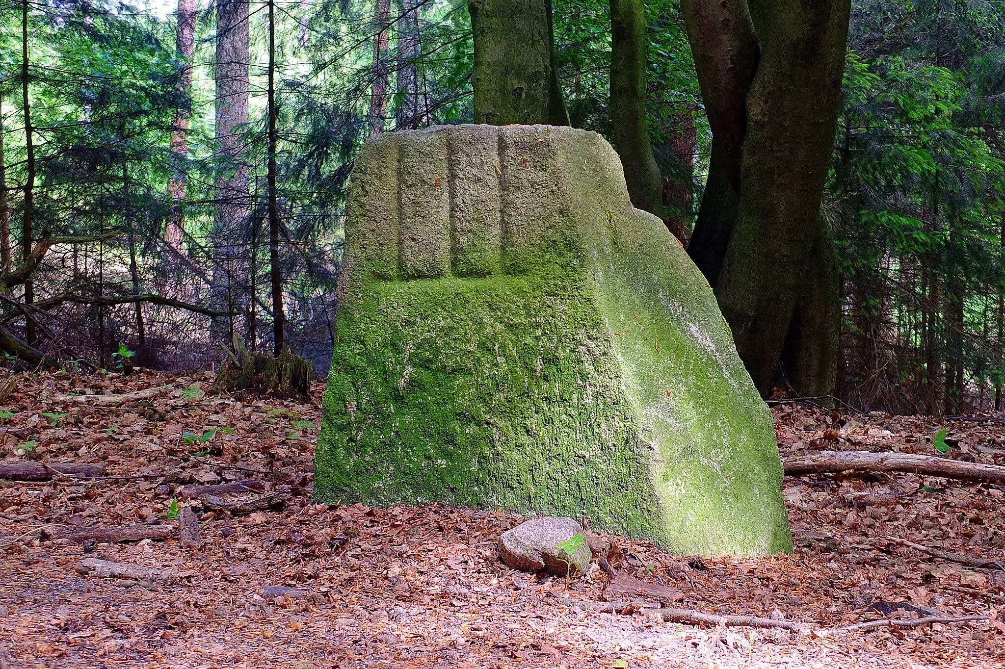 Photo showing: Das Foto zeigt das Naturdenkmal ND WL 00013: "Teilstück des Wanderblocks nordischer Herkunft mit eingehauenem Kreuz und Wappen der Herren von Heimbruch" in einer Schrägansicht aus südlicher Richtung. Entgegen der offiziellen Betitelung handelt es sich bei der abgebildeten Ansicht vermutlich nicht um die Darstellung des besagten Wappens, sondern um die sog. "Laurentius-Roste" des Alten Klosters Buxtehude[1]. Der Stein steht im Wald nordwestlich von Sieversen am nördlichen Wegesrand auf dem Gebiet der Gemeinde Rosengarten, Landkreis Harburg, Niedersachsen. Der Stein ist Teil einer Grenzsteinreihe aus dem 15. Jahrundert, die von Sieversen westwärts in den Rosengarten verläuft und seit dem 10. Juni 1955 Naturdenkmal.