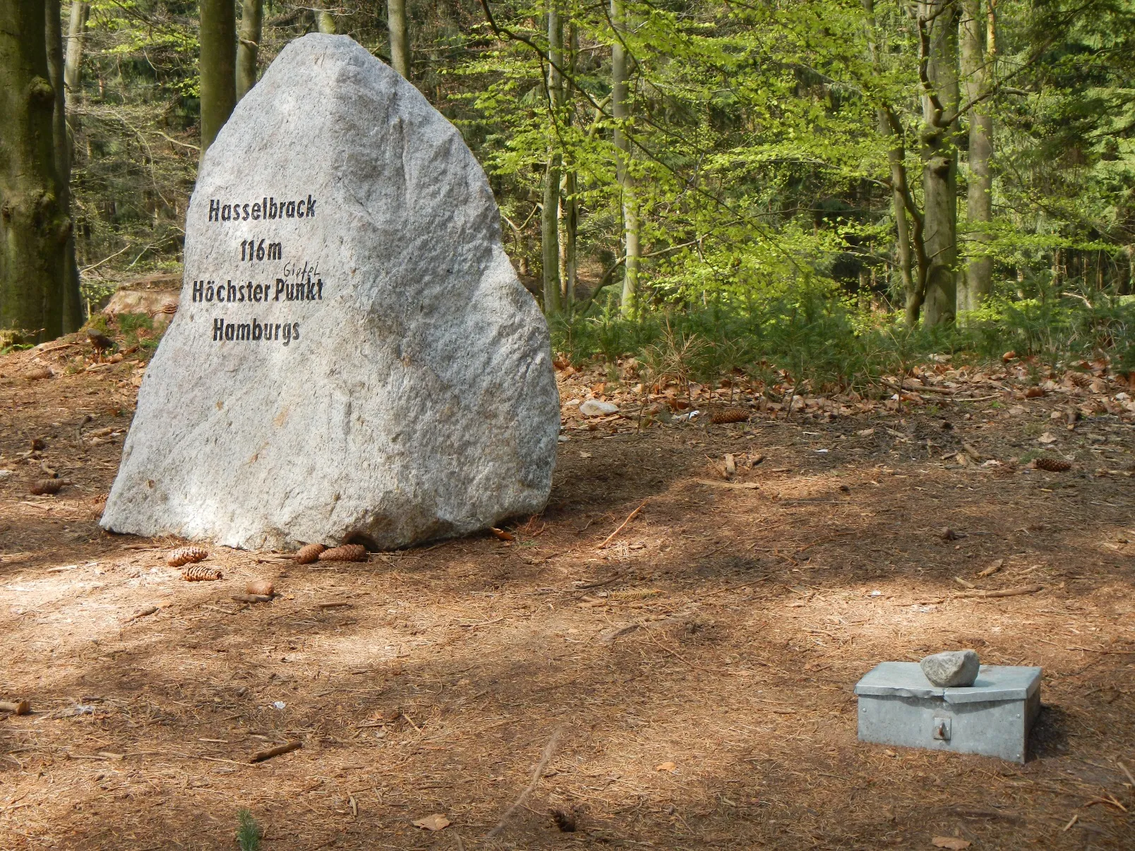 Photo showing: The highest point in the Federal State of Hamburg: Hasselbrack summit cross and geocache (front right). The stone was erected in 2013. The inscription reads: "Hasselbrack/116m/Höchster Punkt/Hamburgs" (Hasselbrack/116m/Highest point/in Hamburg".