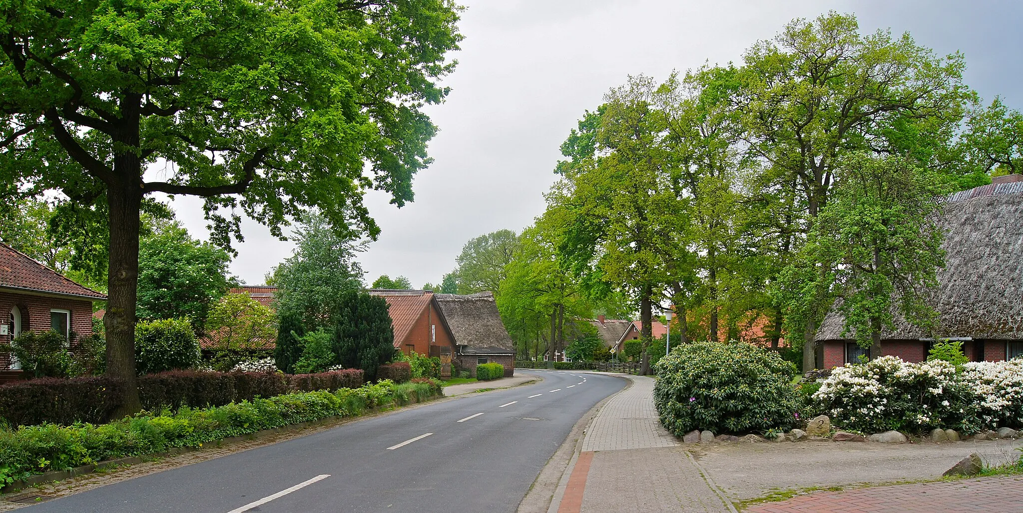 Photo showing: Hammah, Germany: Houses on the road An der Lohe