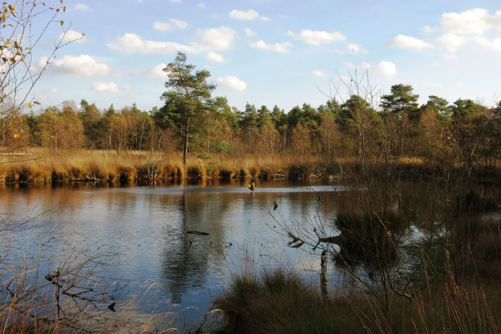 Photo showing: Landschaft im Pietzmoor.
