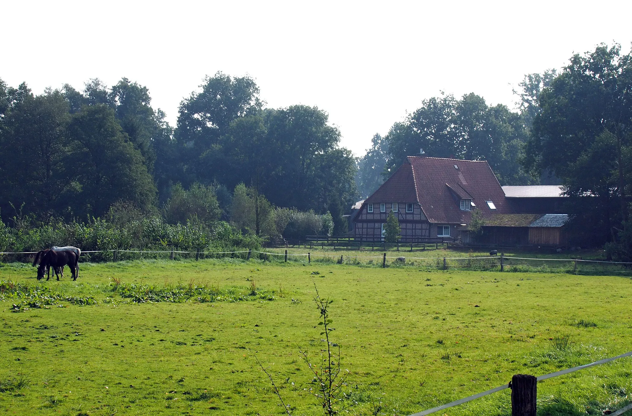 Photo showing: Bauernhof in Meinholz Gemeinde Wietzendorf, Heidekreis