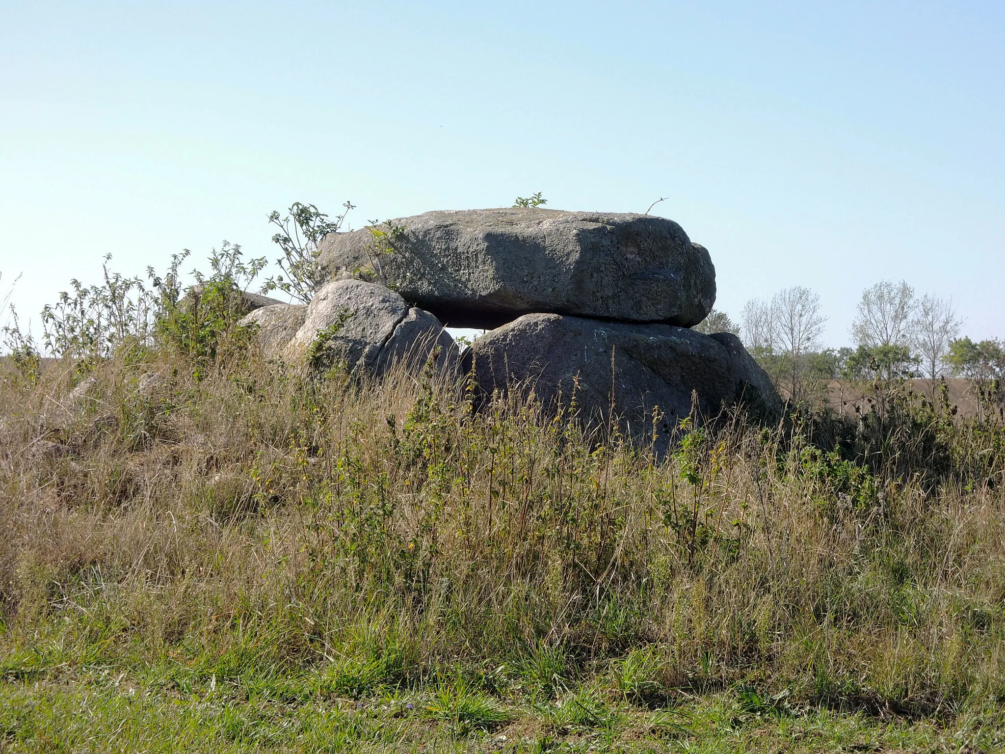 Photo showing: The megalithic tomb "Schwaneberg 1" near Schwaneberg, Brandenburg.
Sprockhoff No. 461
