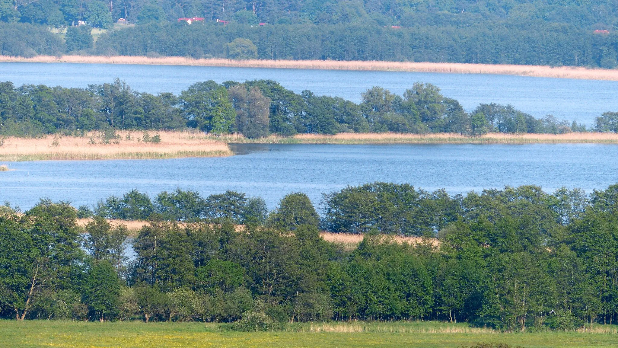 Photo showing: Reste der alten Dämme im Südteil des Gothensees