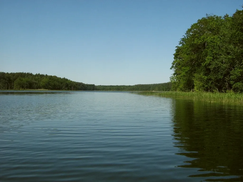 Photo showing: Der Mühlensee bei Ankershagen Landkreis Müritz, (Mecklenburg-Vorpommern, Germany). Der Mühlensee ist einer der ursprünglichen Quellseen der Havel. Seit einem Dammbau entwässert er über den Mühlenbach, den Wurzenbach, den Aalbach, die Tollense, die Peene und den Peenestrom in die Ostsee. Das durch den Damm sickernde Wasser speist eine künstlich nachgestaltete Havelquelle am Diekenbruch, so daß der Mühlensee symbolisch wieder als Havelquellsee gelten kann.