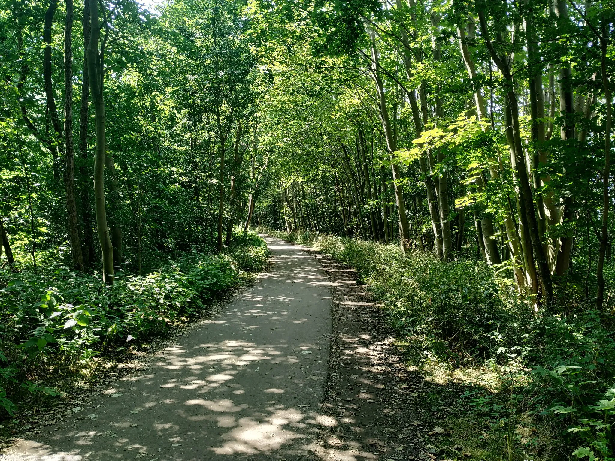 Photo showing: Ostseeküsten Radweg und Abschnitt des Europäischen Fernwanderweges E9 in Rostock