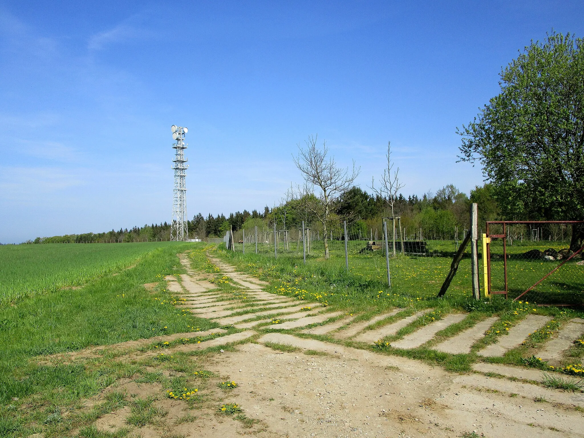 Photo showing: Der höchste Punkt der Kühlung bei Kühlungsborn (Mecklenburg-Vorpommern)