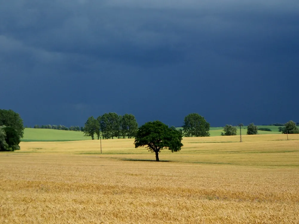 Photo showing: abziehendes Gewitter am Diedrichshagener Berg