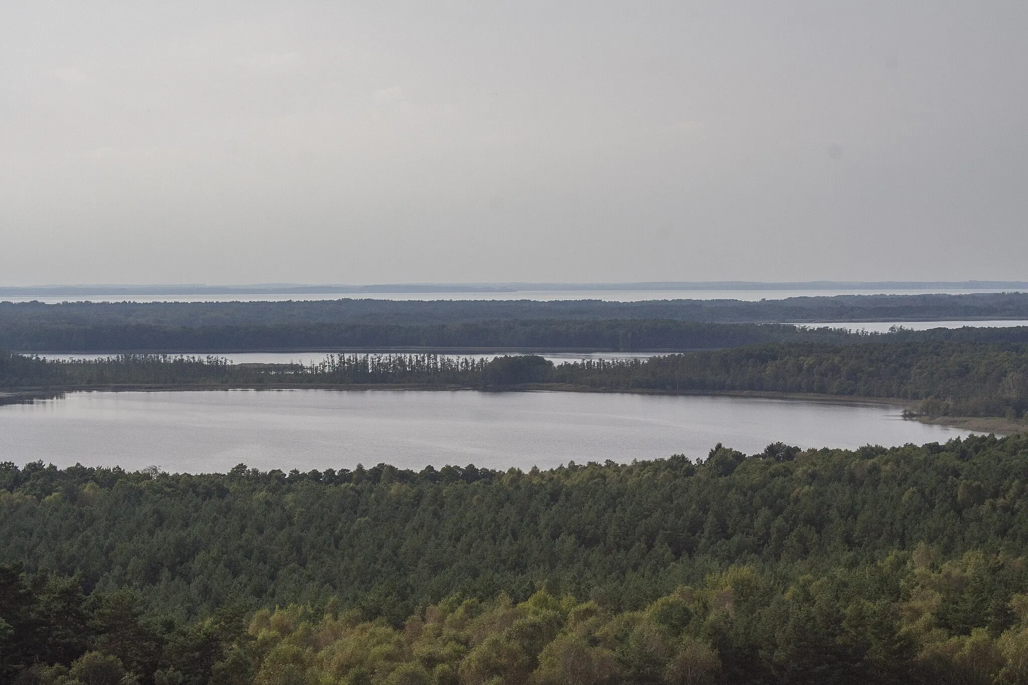 Photo showing: Müritz-Nationalpark