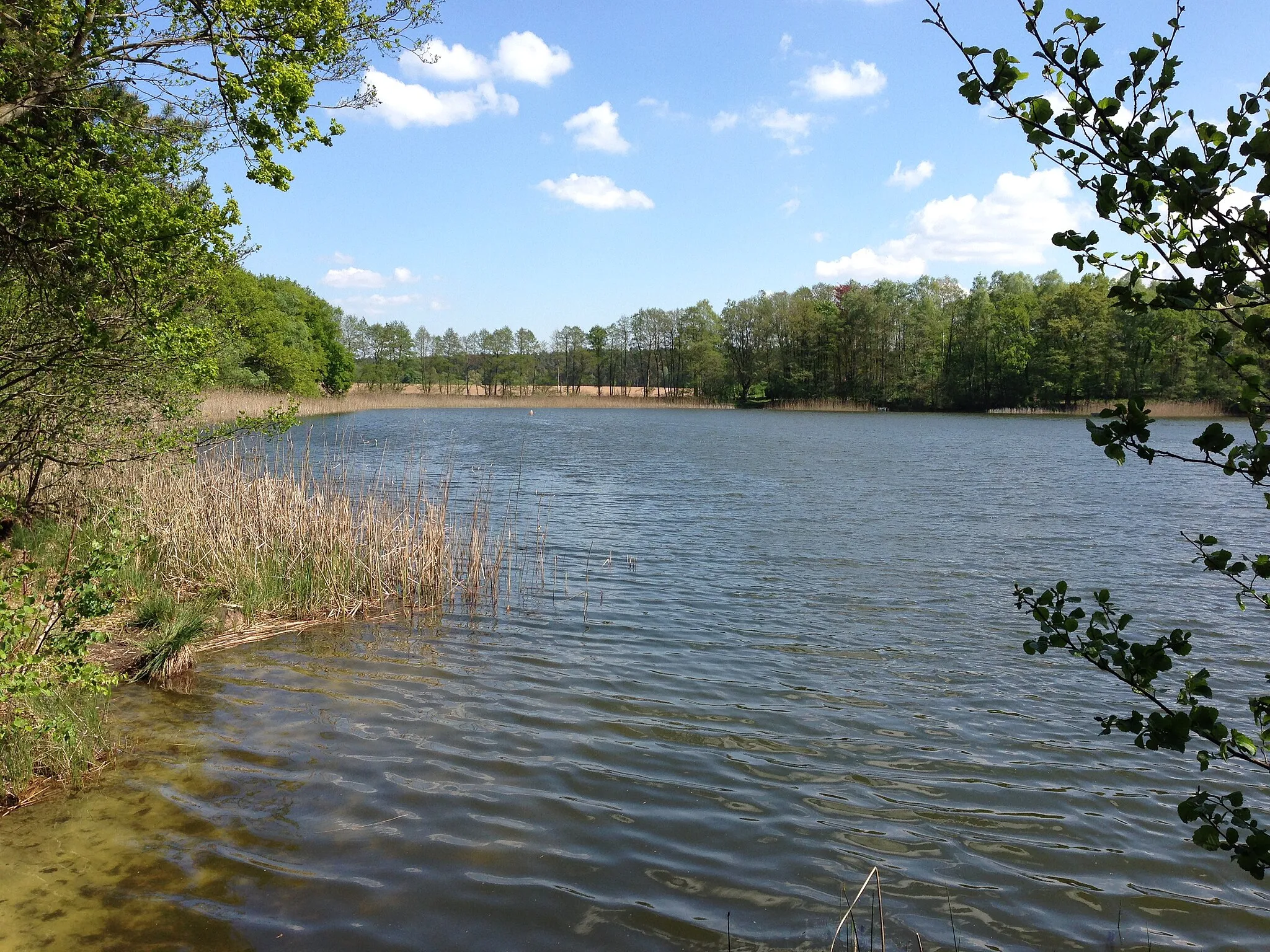 Photo showing: Langer See near Flessenow, district Ludwigslust-Parchim, Mecklenburg-Vorpommern, Germany