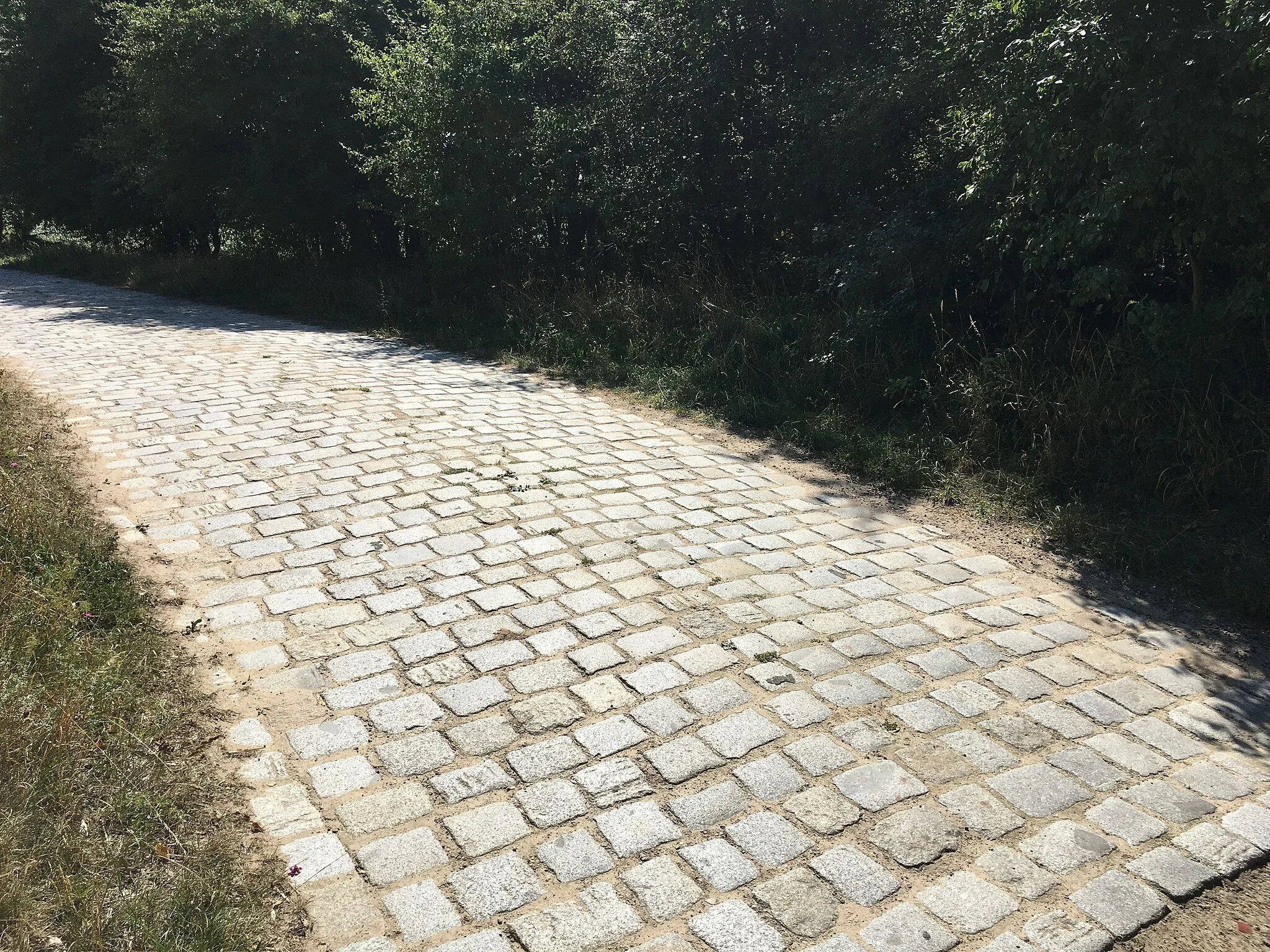 Photo showing: Der Weg von Brietzig nach Wilsickow an der Landesgrenze zwischen Brandenburg und Mecklenburg-Vorpommern. Blick von Brandenburg Richtung Brietzig.