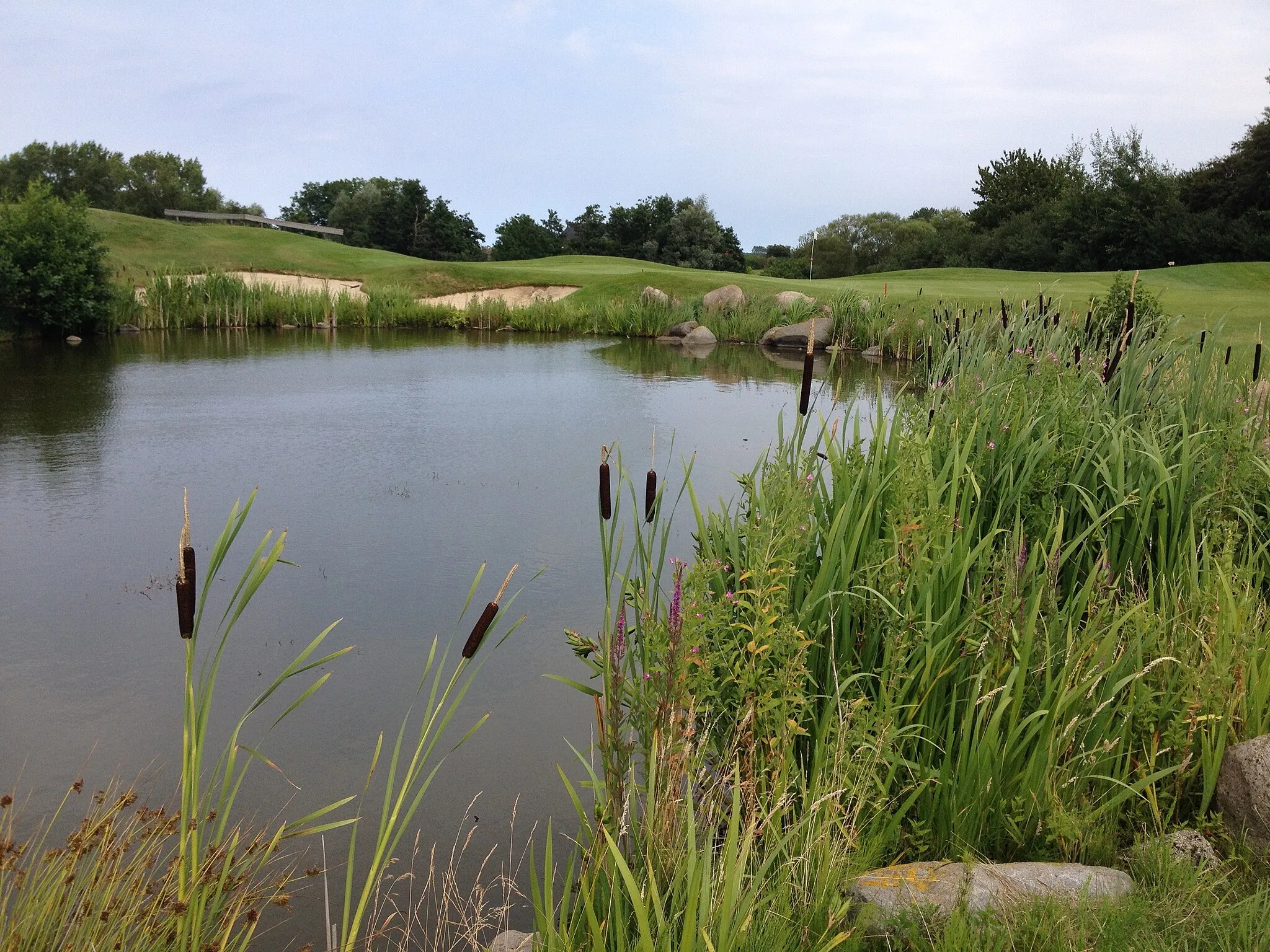 Photo showing: Golfplatz Wittenbeck