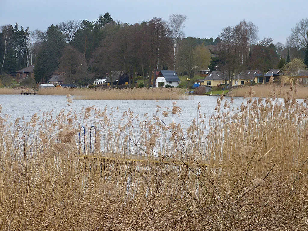 Photo showing: Canower See von der Badestelle