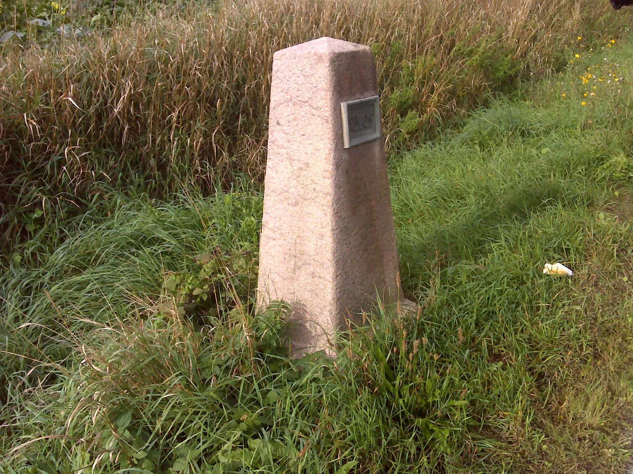 Photo showing: Mecklenburg-Schweriner Ganzmeilenstein, 150 m westlich des Abzweiges nach Holm, 1,2 km östlich des Holmer Berges, südliche Straßenseite, Inschriftentafel: „B 105“