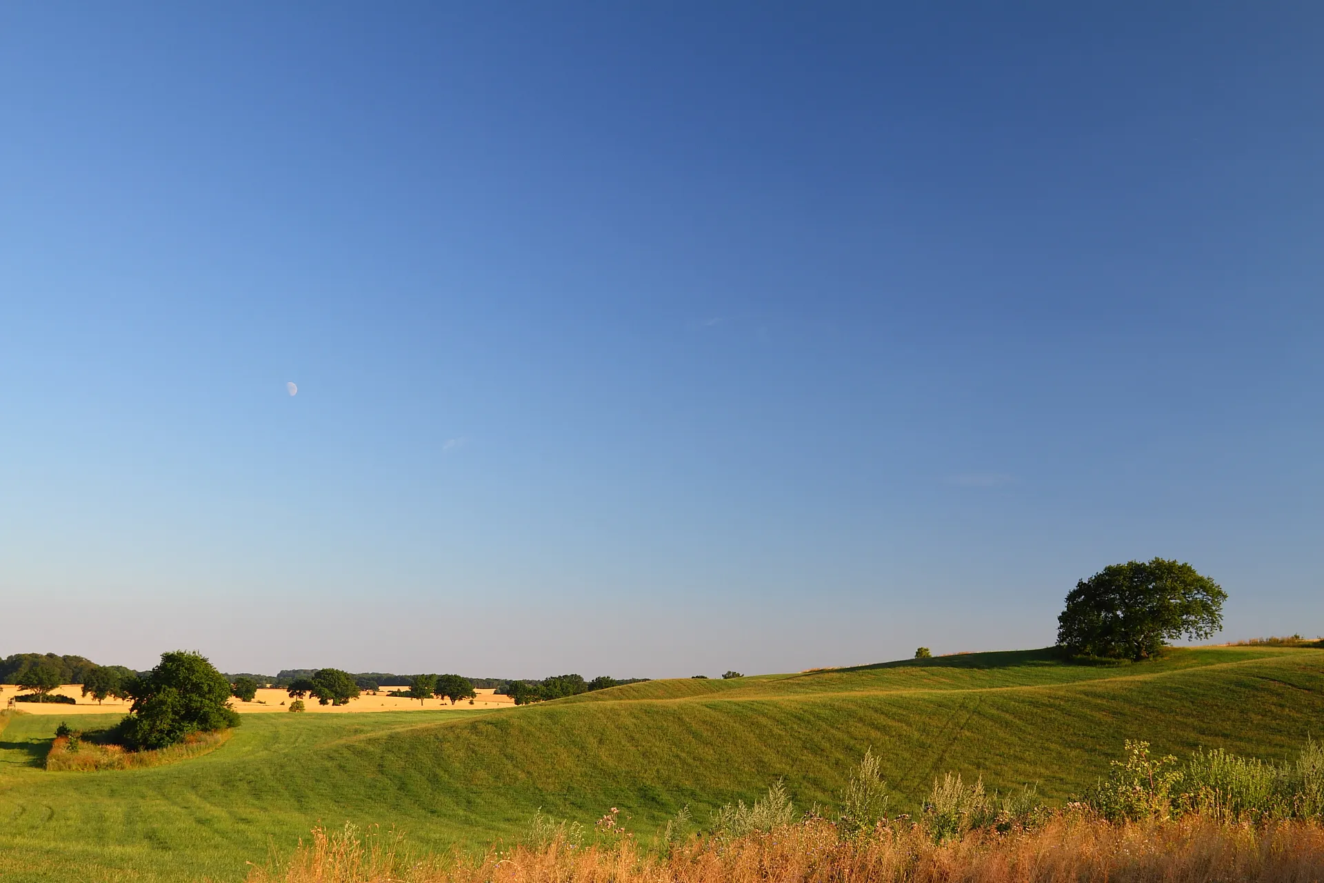 Photo showing: Landschaft bei Gottesgabe im Abendlicht. Blick von der Groß Welziner Straße.

Landscape near Gottesgabe in the evening light.