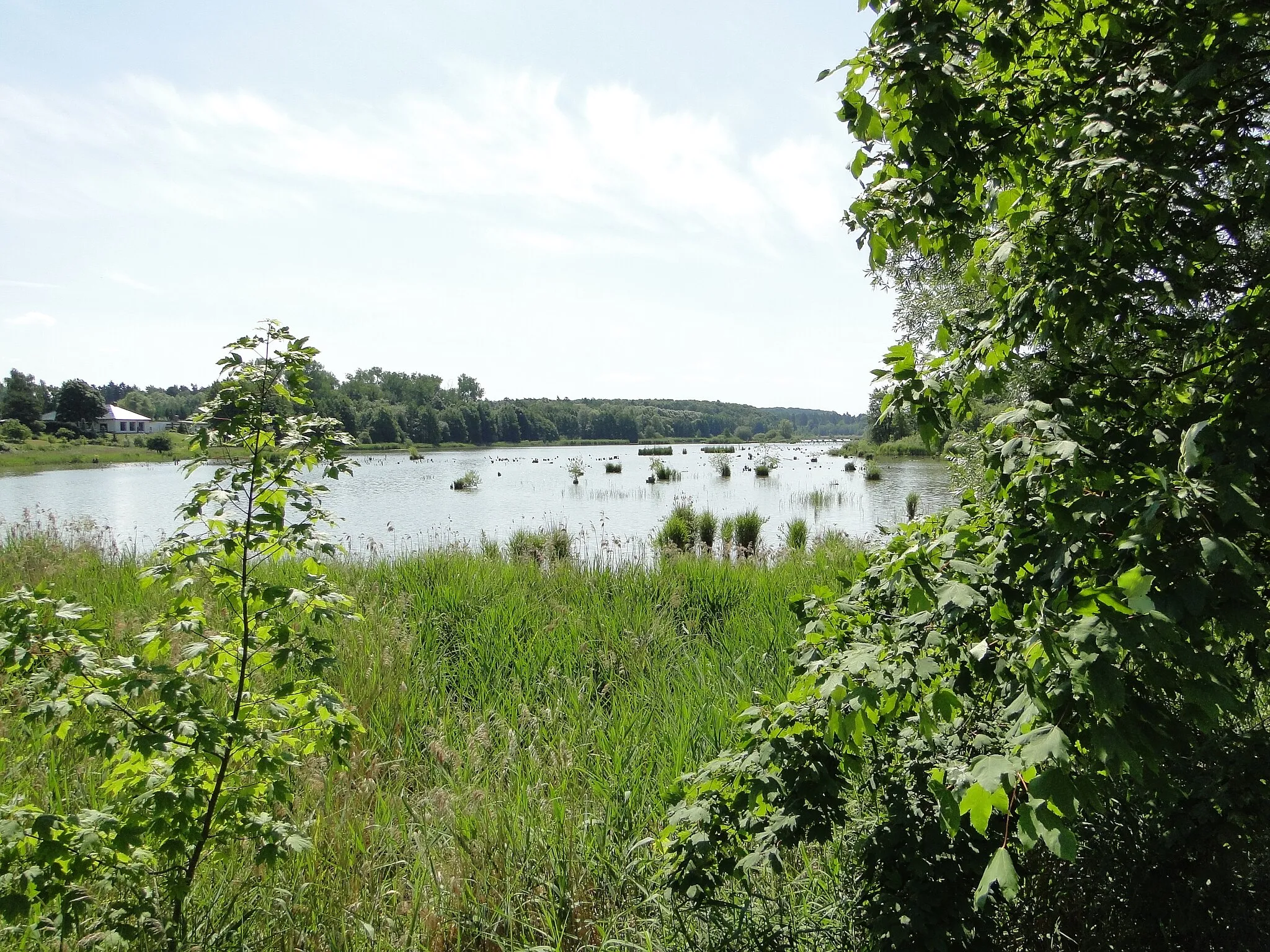 Photo showing: Lake Rehmsee in Gottmannsförde, district Nordwestmecklenburg, Mecklenburg-Vorpommern, Germany