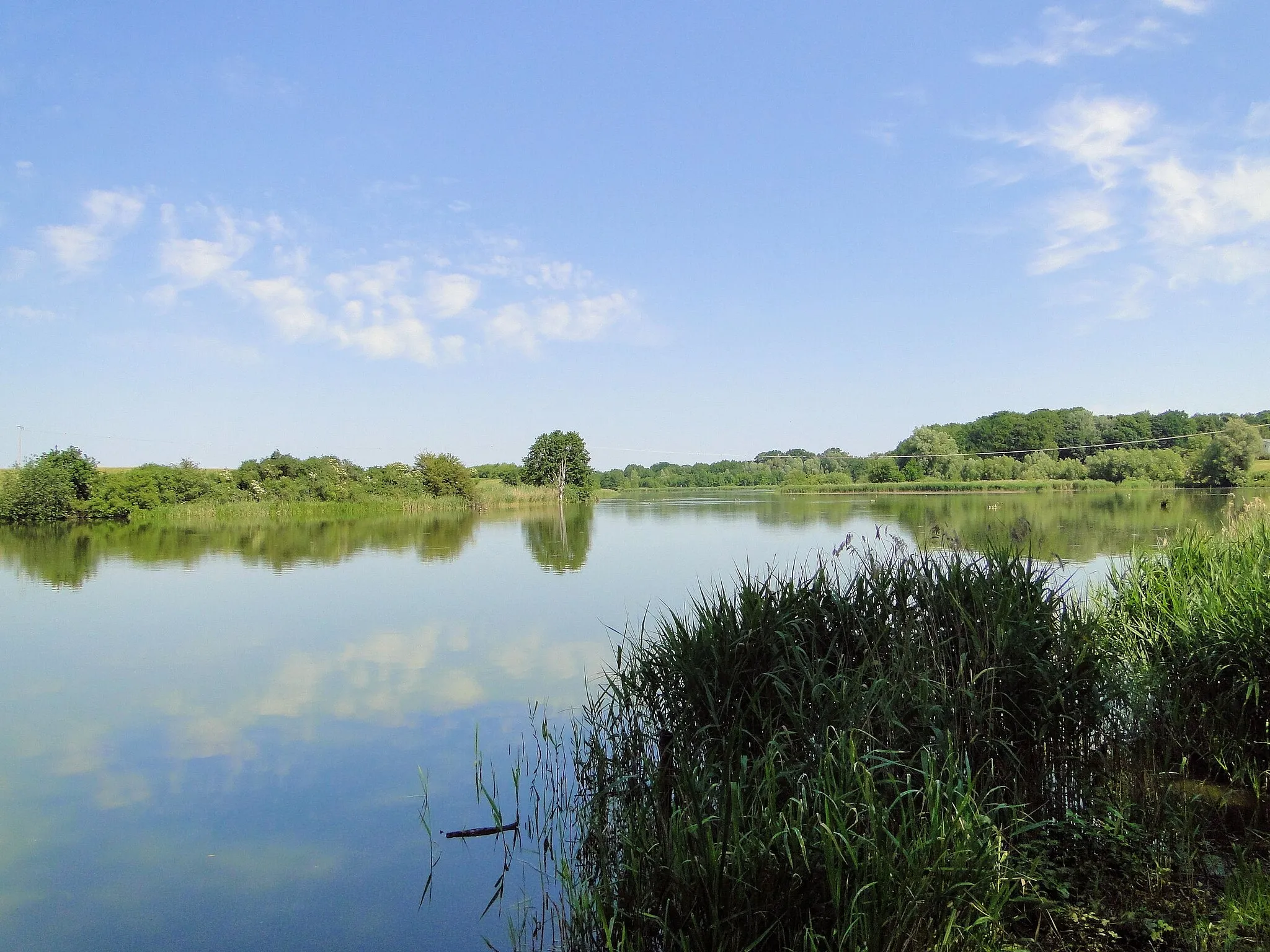 Photo showing: Reservoir in Gottmannsförde, district Nordwestmecklenburg, Mecklenburg-Vorpommern, Germany