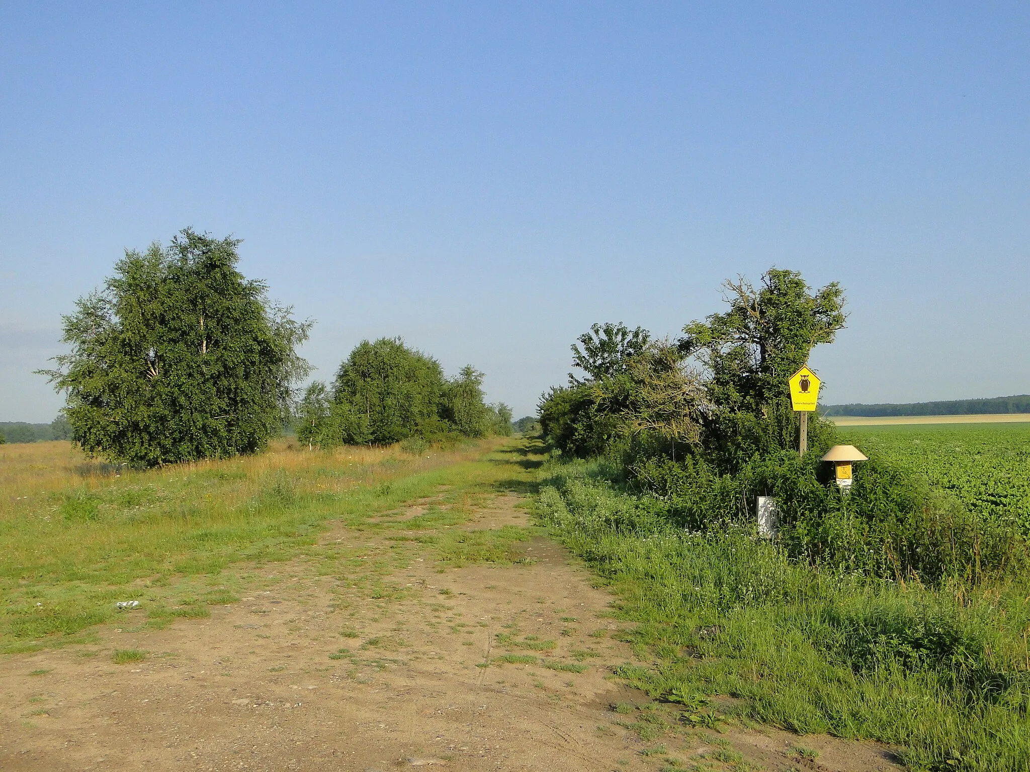 Photo showing: Former inner german border between the Dechow in Mecklenburg-Vorpommern and Mustin in Schleswig-Holstein, part of nature reserve Lankower See