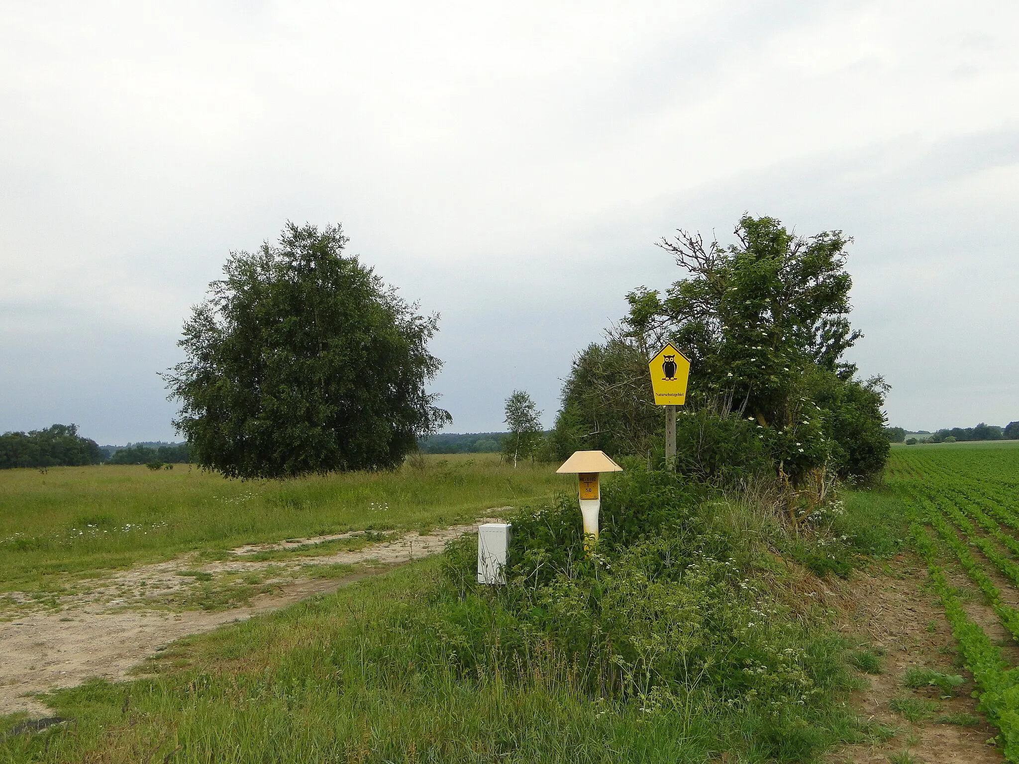 Photo showing: Former inner german border between the Dechow in Mecklenburg-Vorpommern (right) and Mustin in Schleswig-Holstein (left), part of nature reserve Lankower See