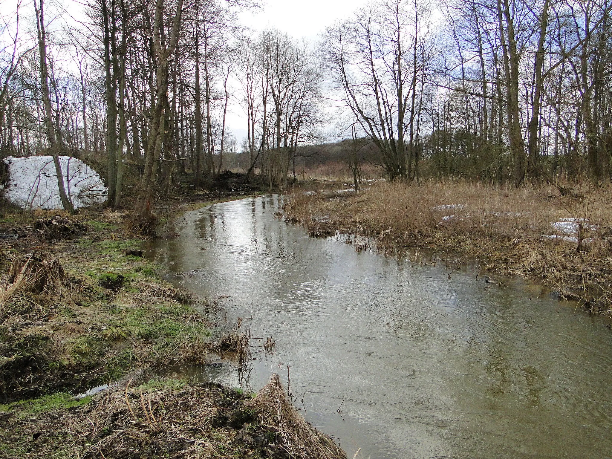 Photo showing: Maurine river in Törpt, disctrict Nordwestmecklenburg, Mecklenburg-Vorpommern, Germany