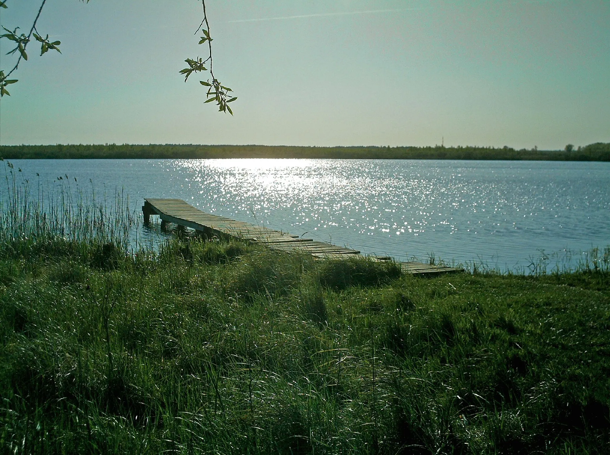 Photo showing: Der Ludwigshofer See im Naturpark Am Stettiner Haff in Mecklenburg-Vorpommern.