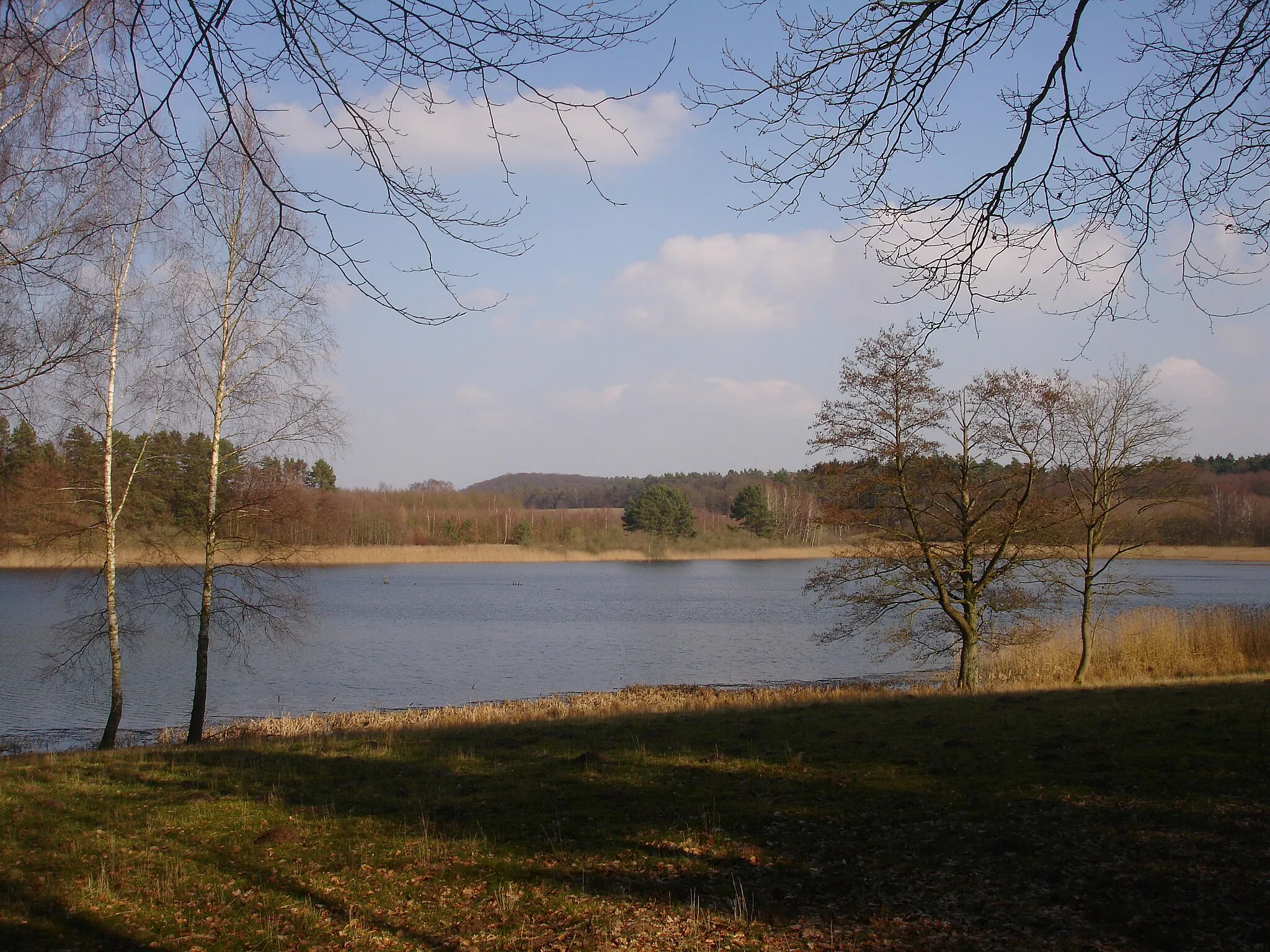 Photo showing: Lähnwitzsee im Sternberger Seengebiet, Mecklenburg