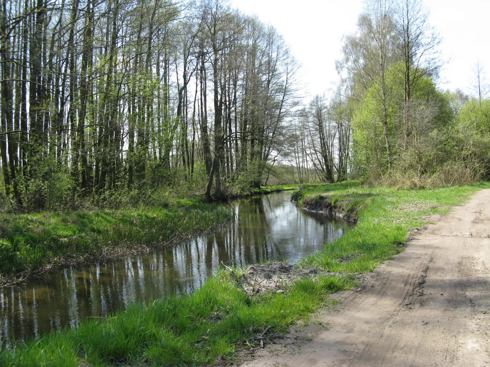 Photo showing: Gehlsbach in der Gemeinde Siggelkow (near Klein Pankower Niedermühle), disctrict Parchim, Mecklenburg-Vorpommern, Germany