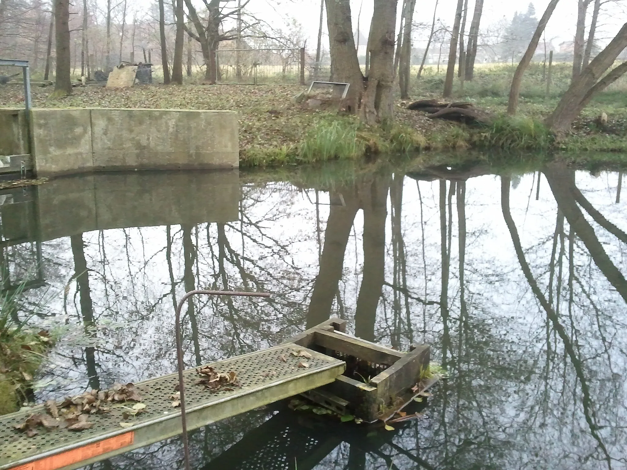 Photo showing: Abflussvorrichtung im Teich bei Slate (Parchim).