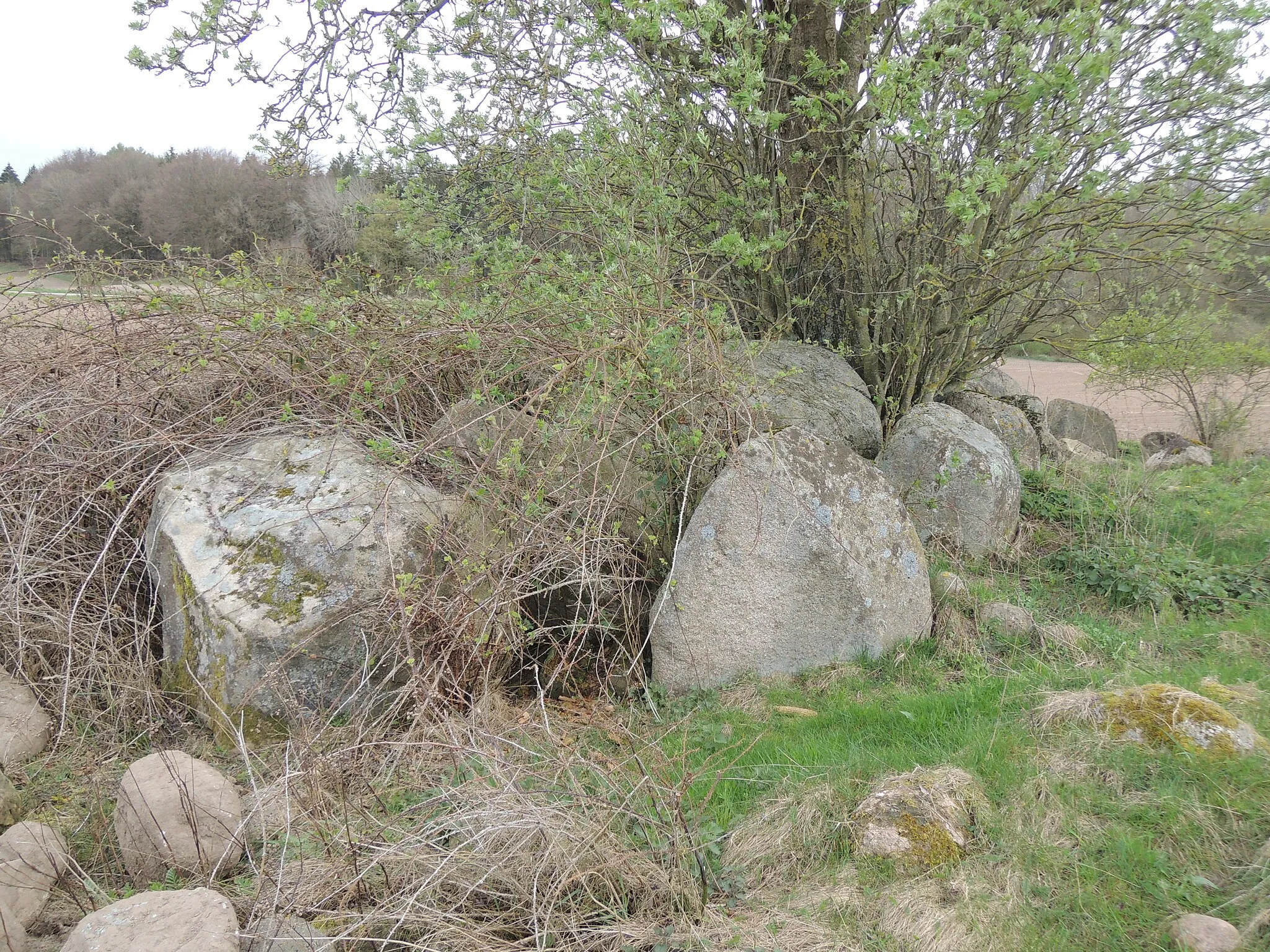 Photo showing: The megalithic passage grave of Qualitz