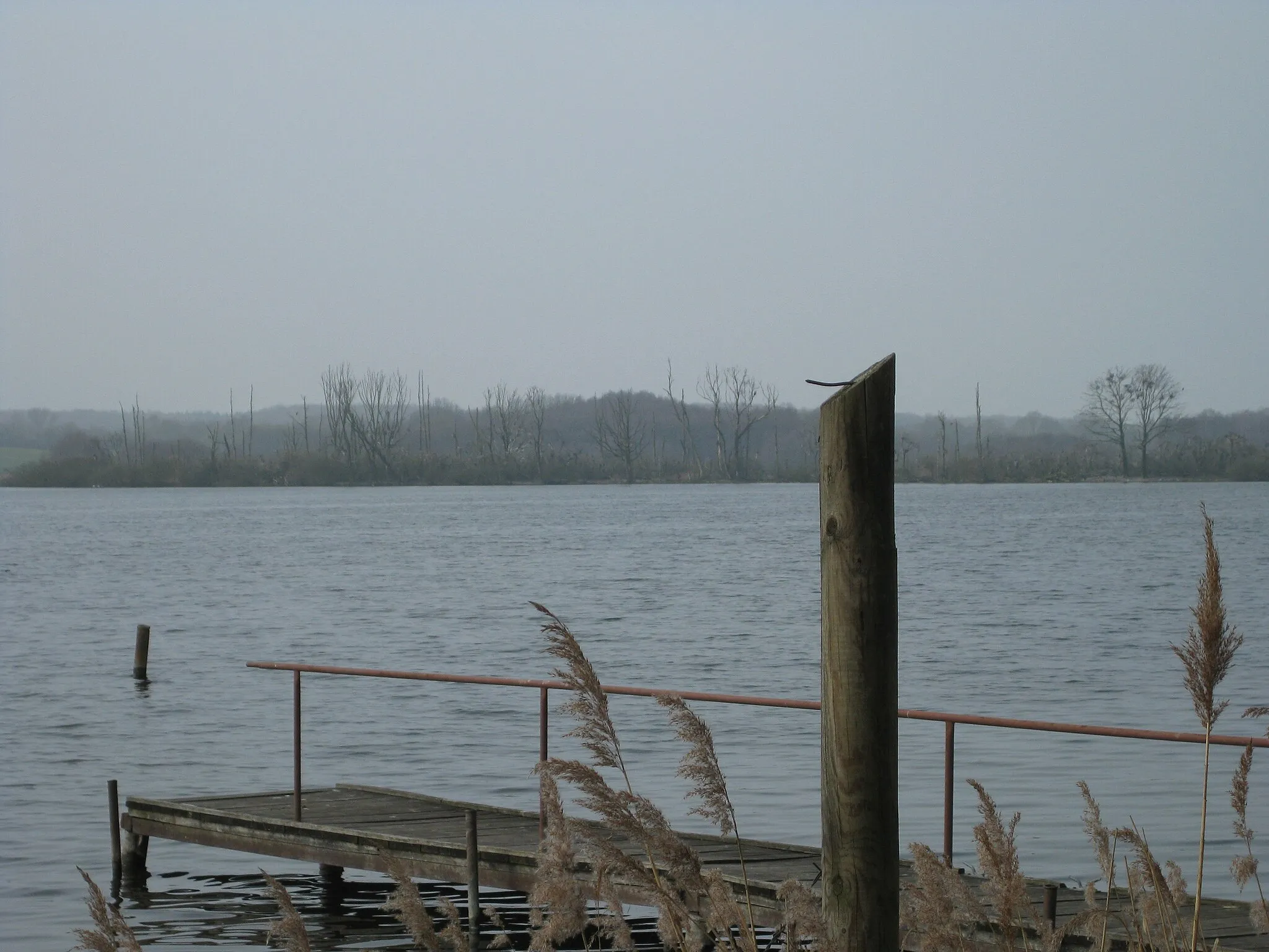 Photo showing: Röggeliner See, a lake in Landkreis Nordwestmecklenburg, seen from Klocksdorf