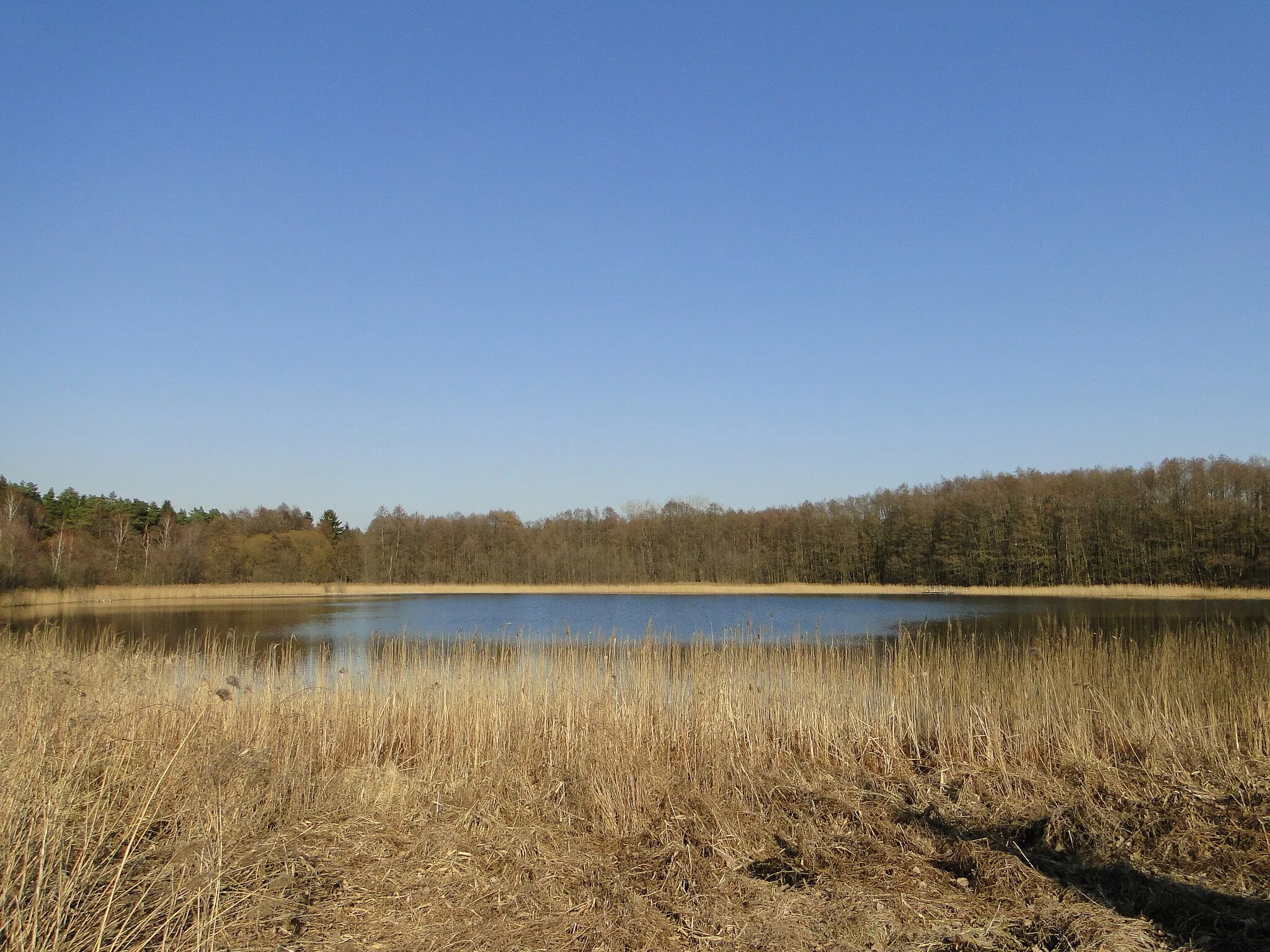 Photo showing: Lake Dinniesensee in Dinnies, district Parchim, Mecklenburg-Vorpommern, Germany