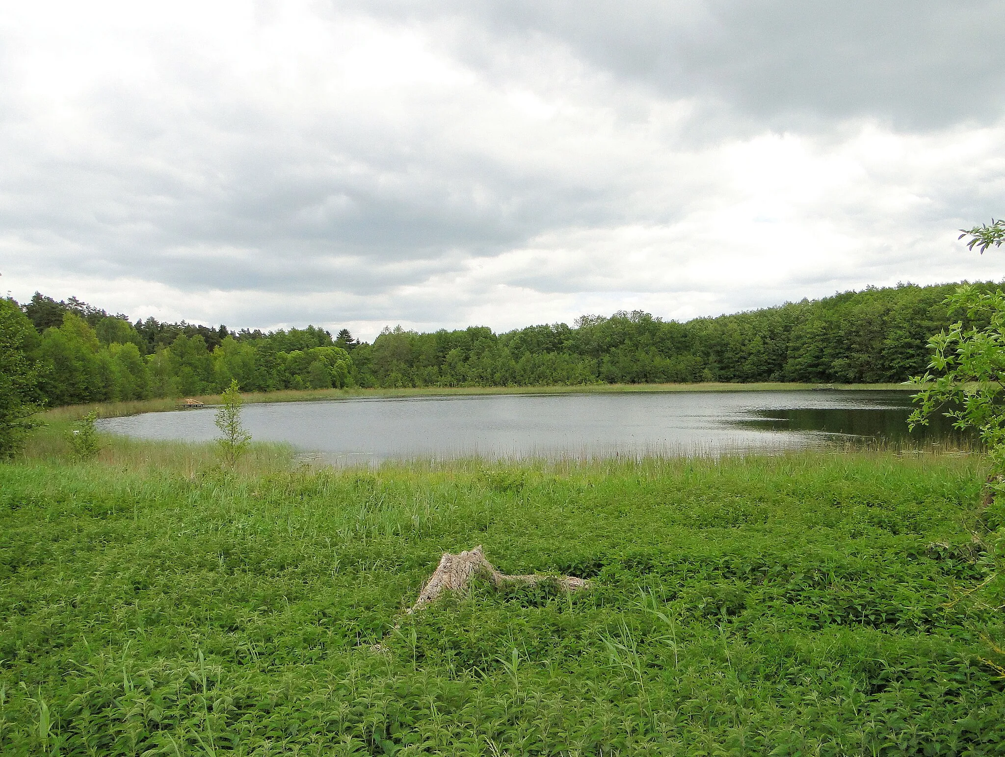 Photo showing: Lake Dinniesensee near Dinnies, district Ludwigslust-Parchim, Mecklenburg-Vorpommern, Germany