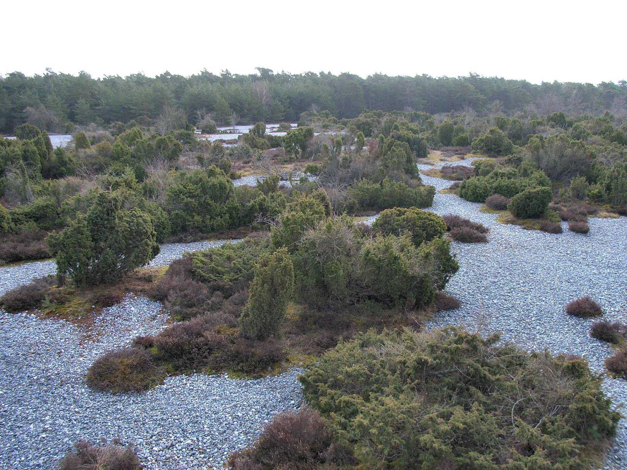 Photo showing: Flintstone fields near Neu Mukran (island Rügen)