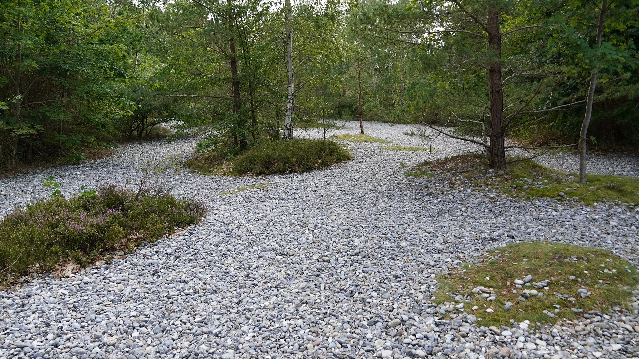 Photo showing: Feuersteinfelder in der schmalen Heide auf Rügen, FFH Gebiet Kleiner Jasmunder Bodden mit Halbinseln und Schmaler Heide